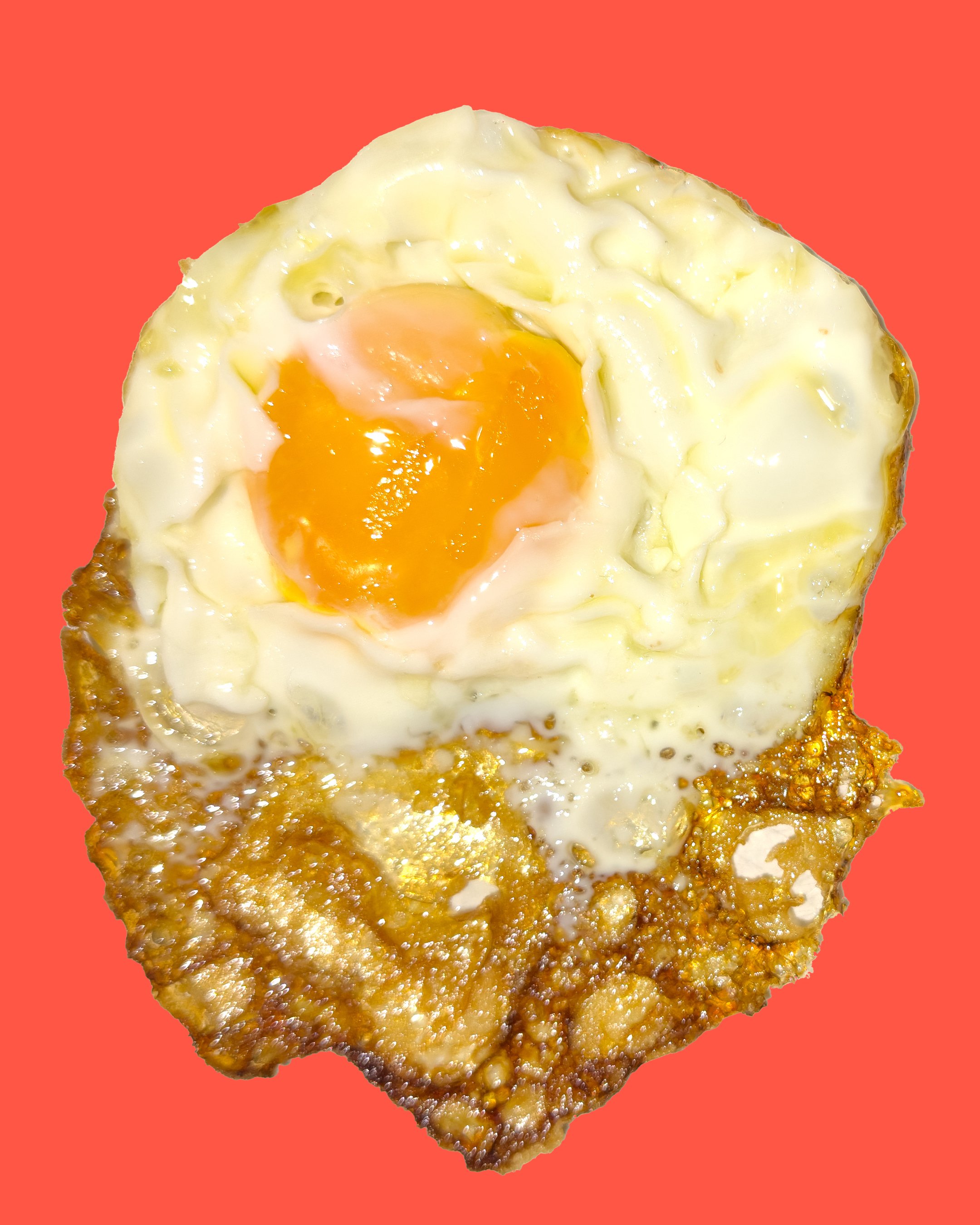 EGG 2.jpg