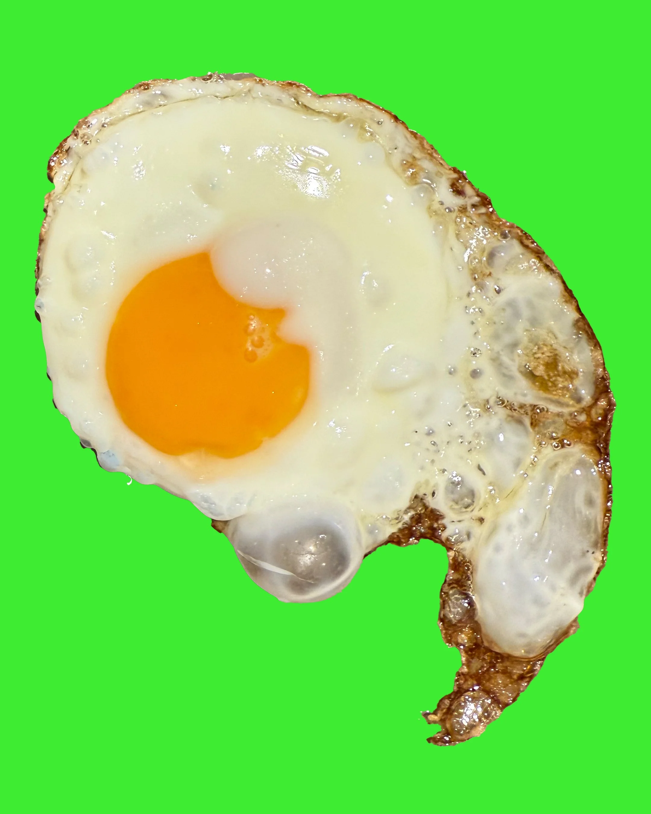 EGG 6.jpg