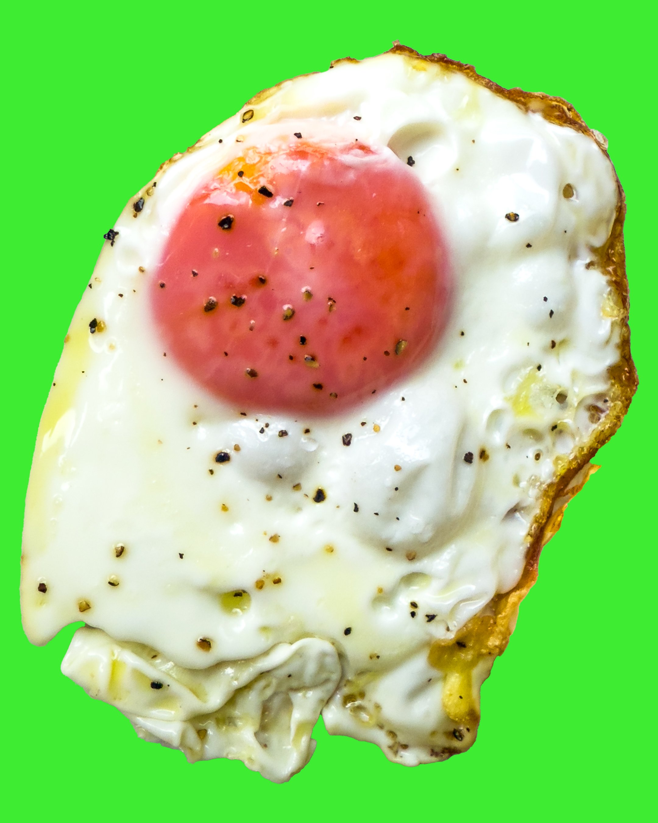 EGG 3.jpg