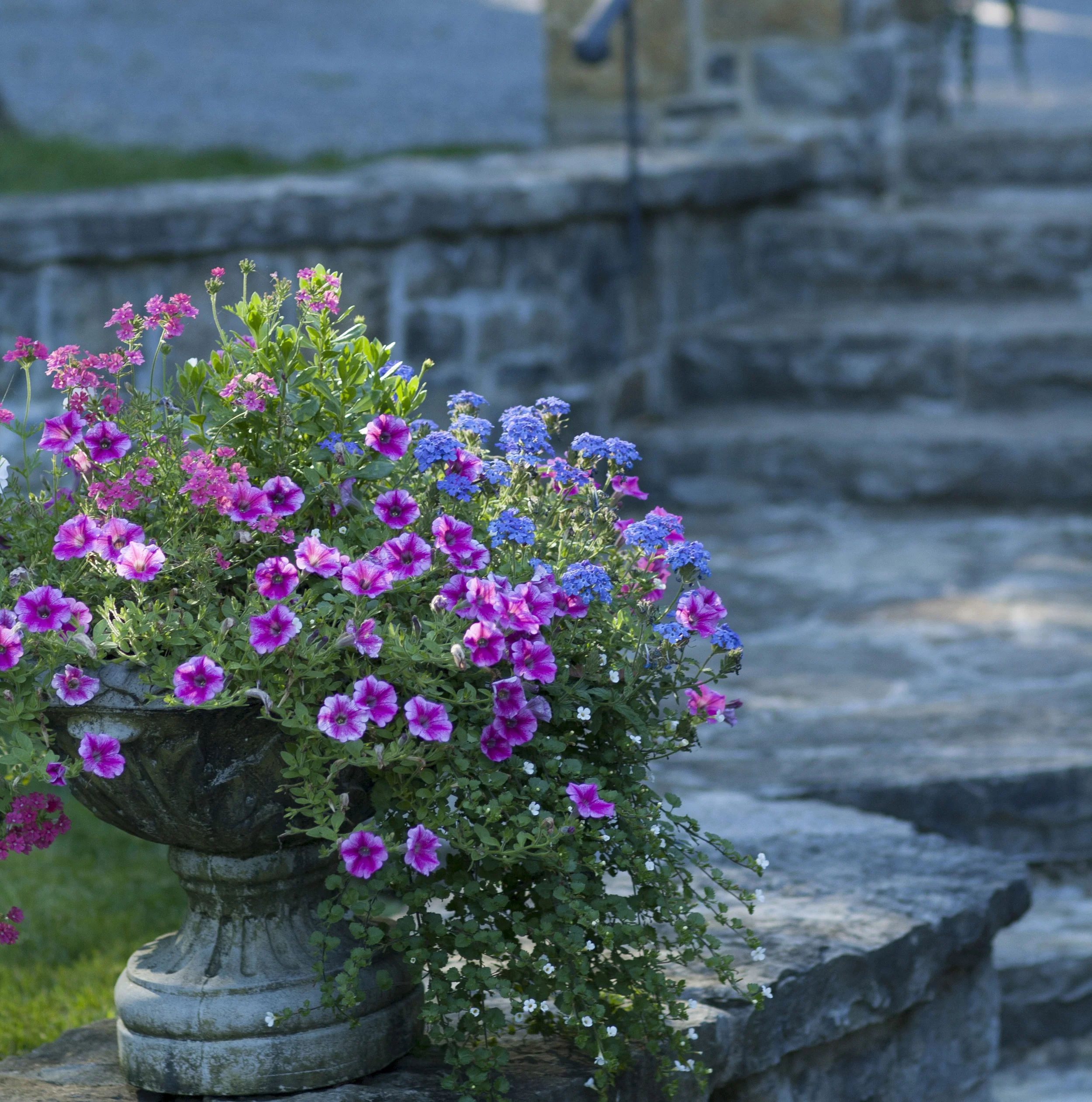 New Home With A Heritage Feel | Planter | Landscape Architecture | Riverview Design Solutions | Prescott, Ontario, Canada