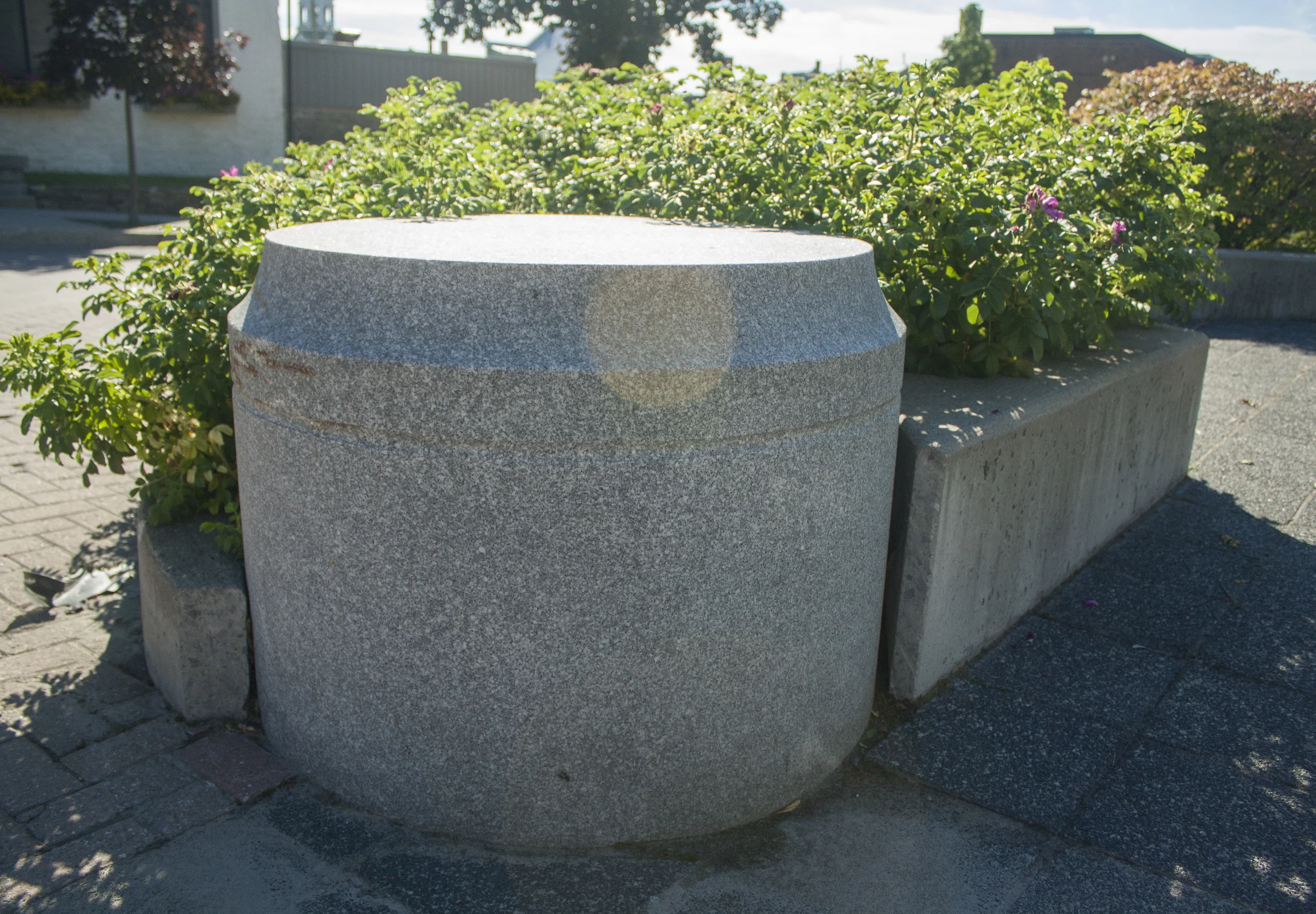 _MG_5854.jpg