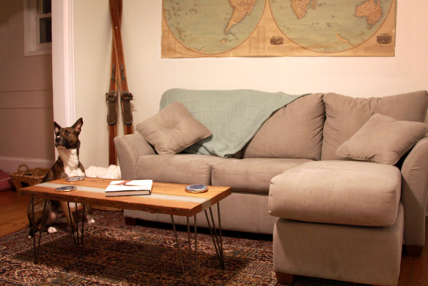 Reclaimed Wood and Concrete Coffee Table | Riverview Design Solutions | Living Room Dog | Brockville Ontario Canada