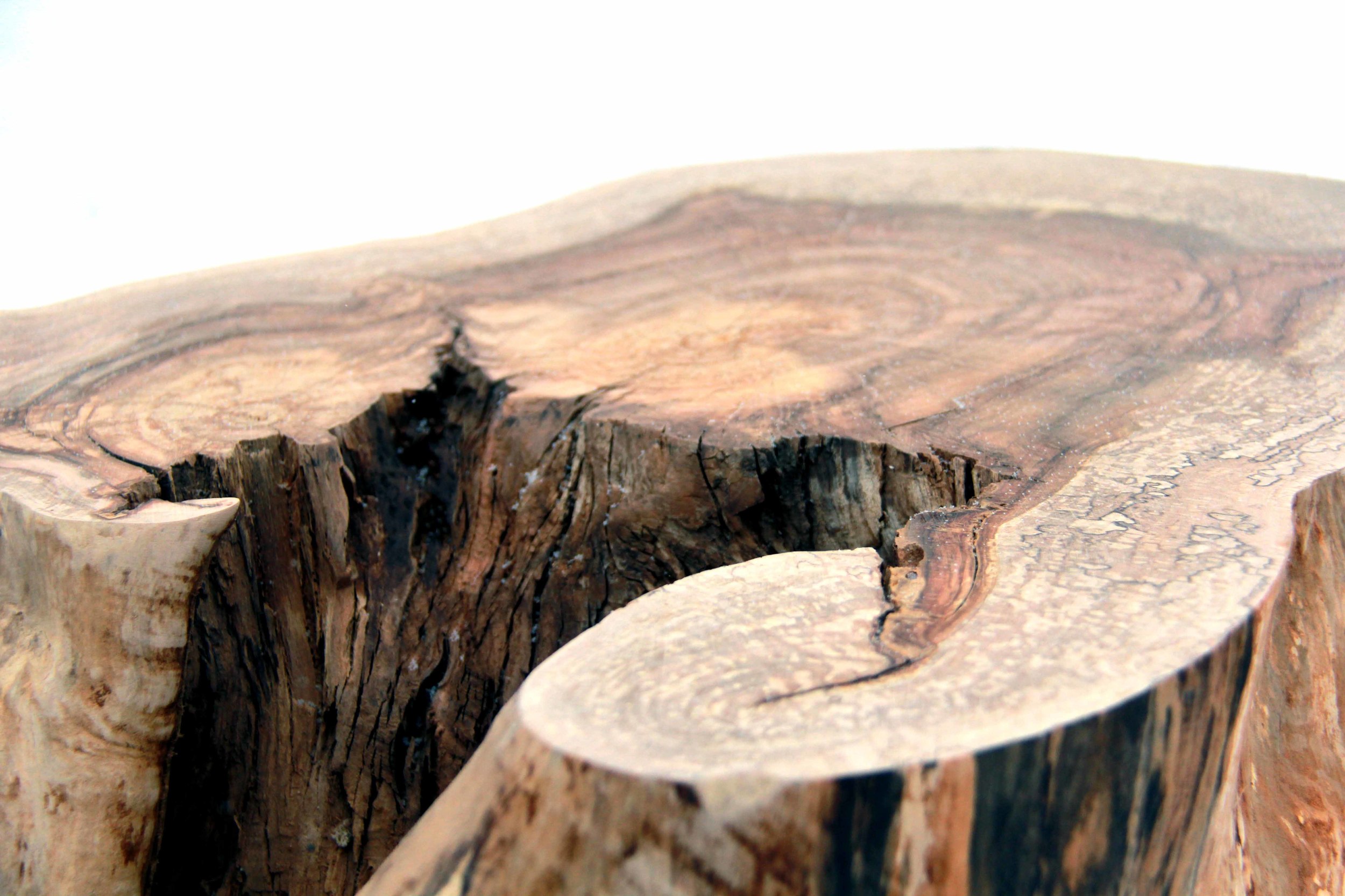 Riverview Design Solutions - Woodland Table - Furniture - Landscape.jpg
