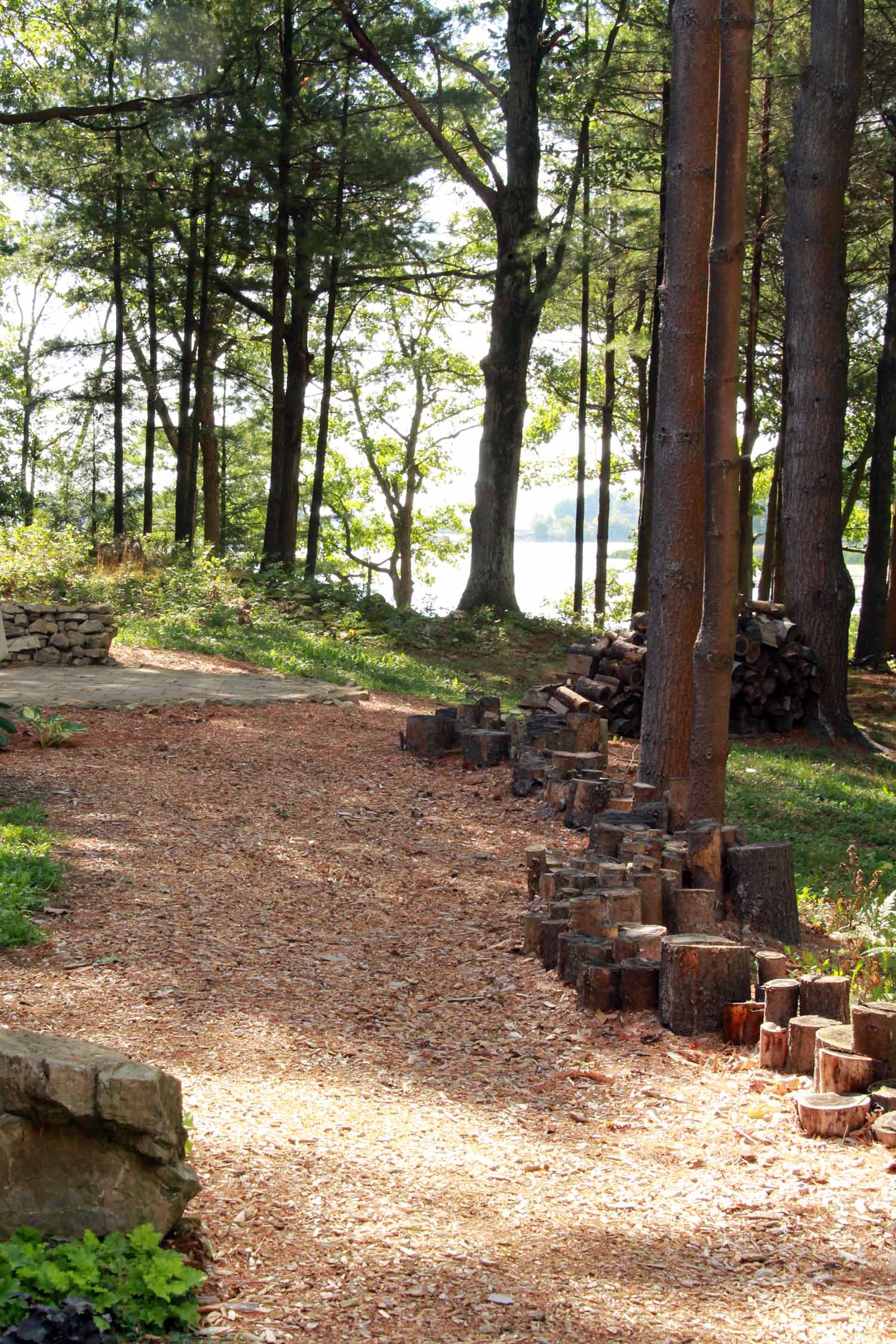 Riverview Design Solutions - Forest landscape Architecture - Log Retaining Wall - Naturalized Landscape.jpg