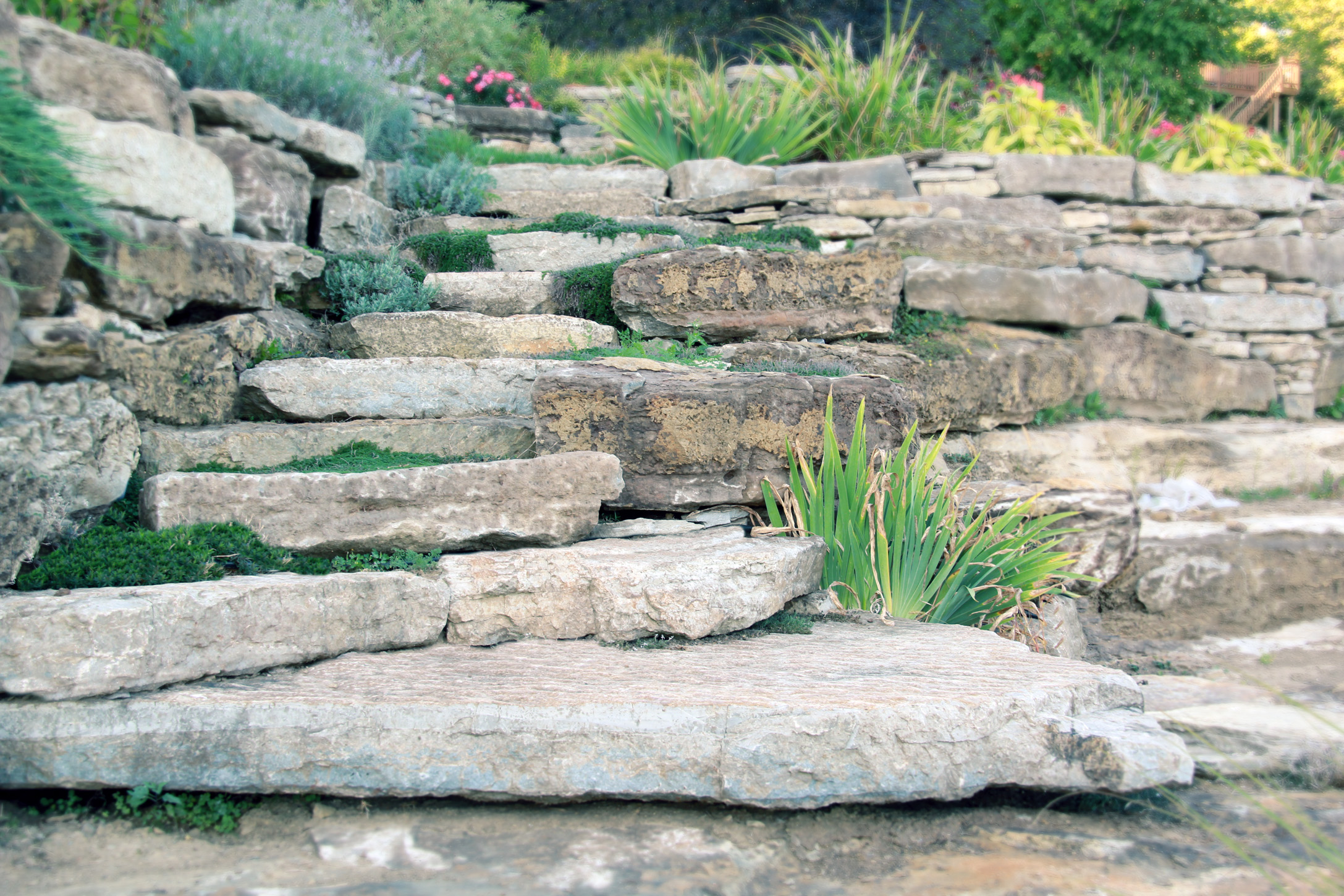 Riverview Landscape_Dry Stone Steps_Natural_Brockville.jpg