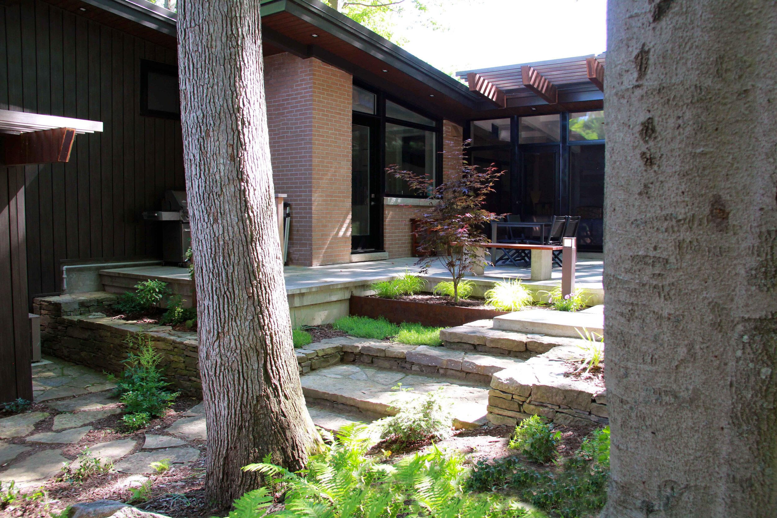Oak tree-Beech tree-Hardscape-Backyard Landscape-Dry laid Natural stone- Poured concrete-ground cover-Modern- Arbor elements-concrete porch-Mid century modern home.jpg