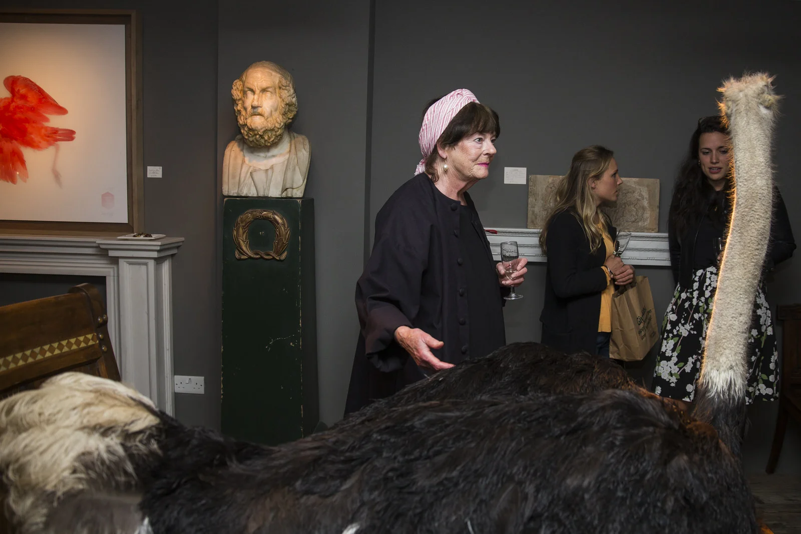 DARWINSINKEVANTONGEREN 036.JPG