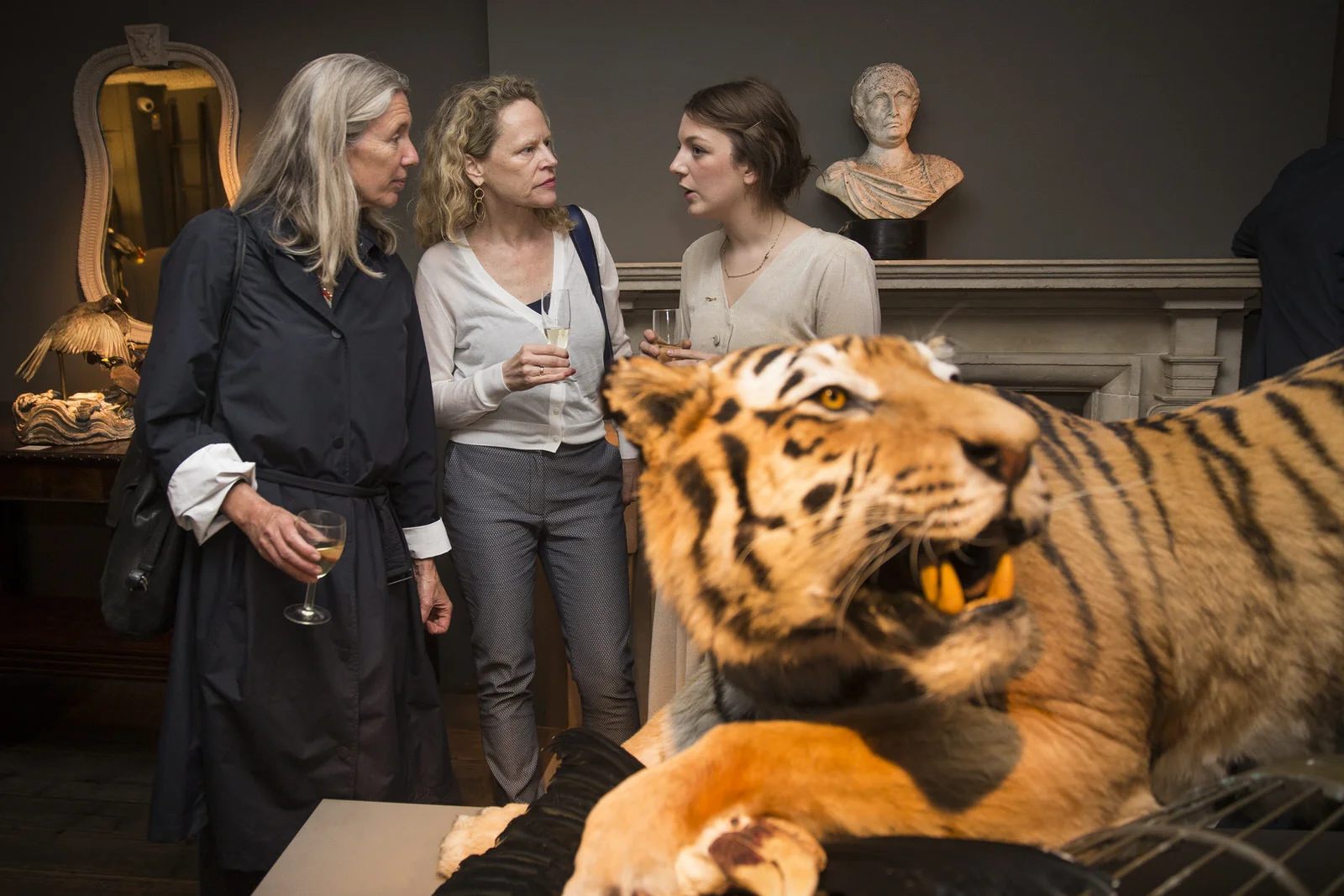DARWINSINKEVANTONGEREN 034.JPG