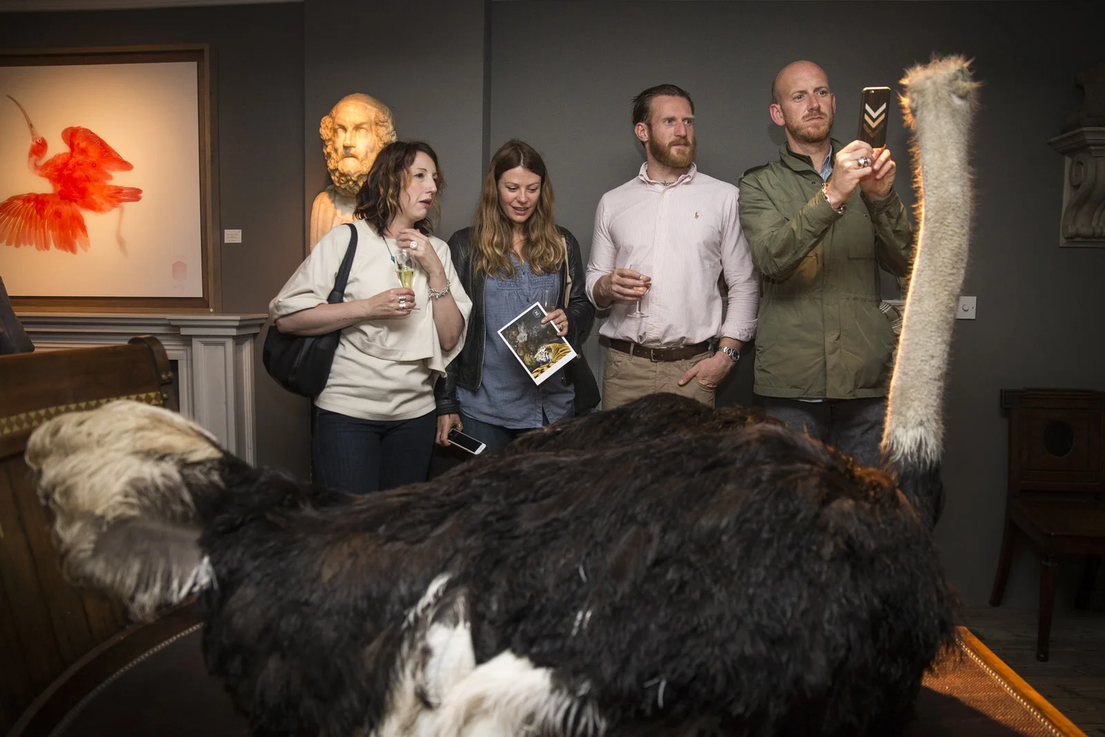 DARWINSINKEVANTONGEREN 032.JPG