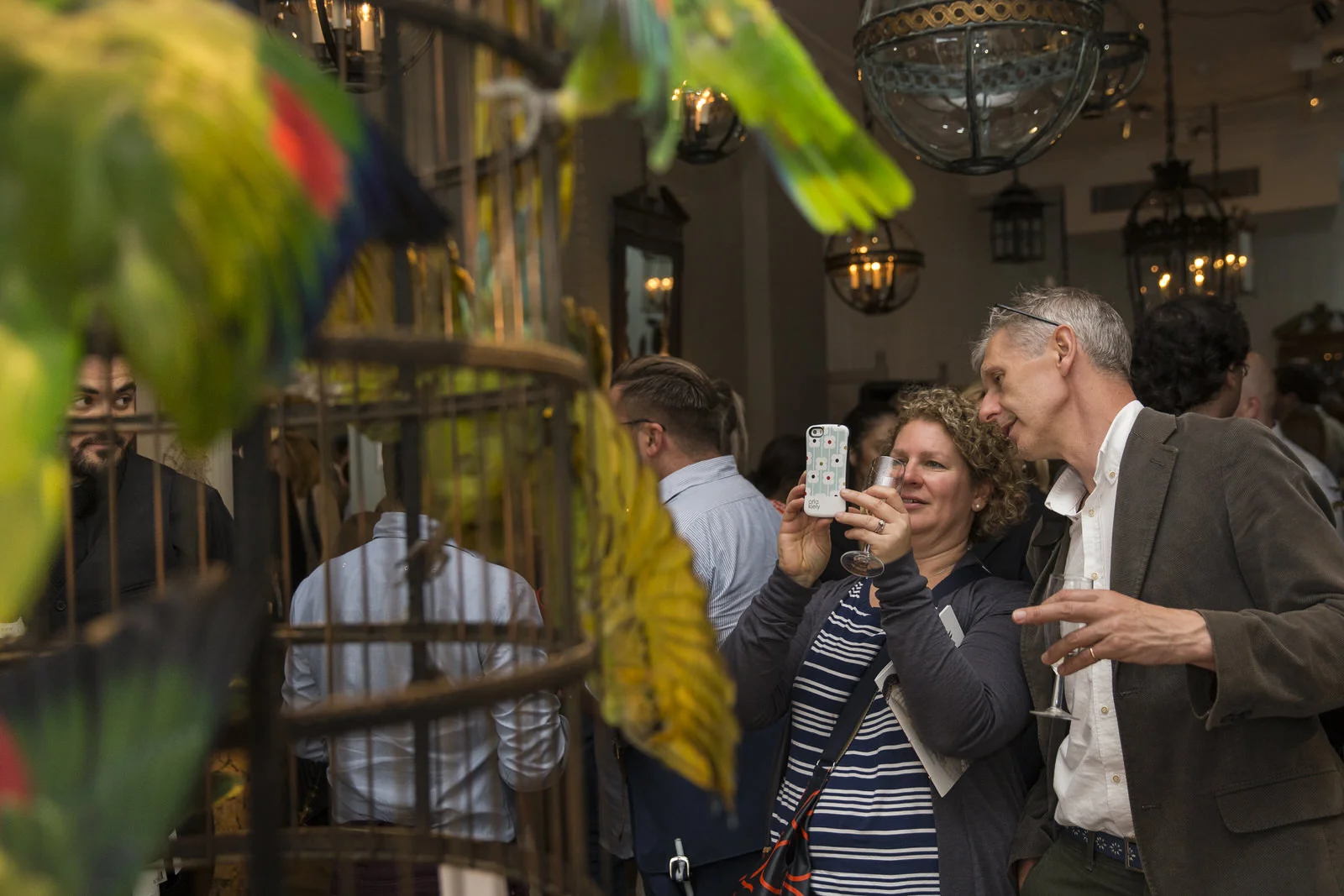 DARWINSINKEVANTONGEREN 028.JPG