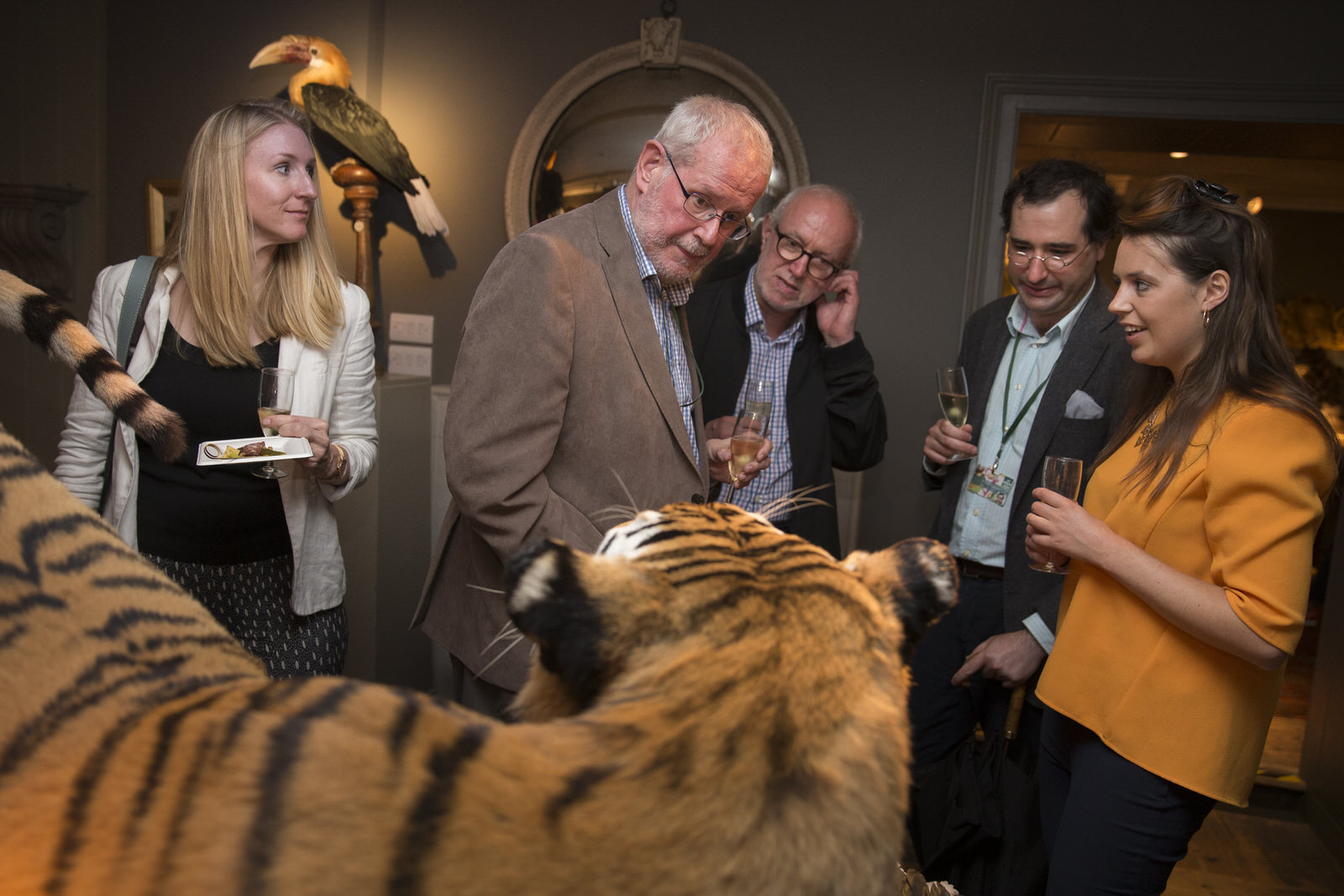 DARWINSINKEVANTONGEREN 011.JPG