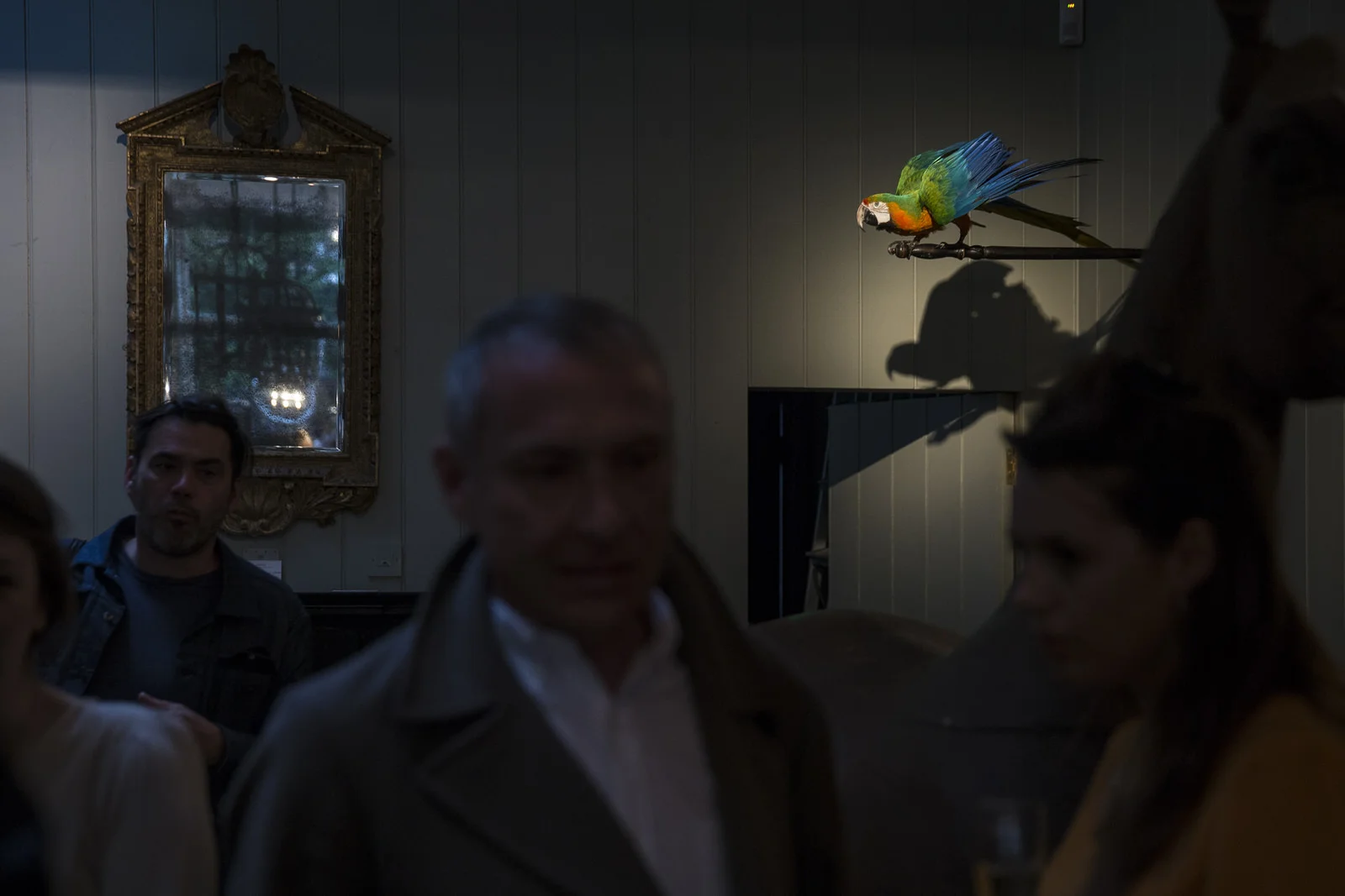 DARWINSINKEVANTONGEREN 007.JPG