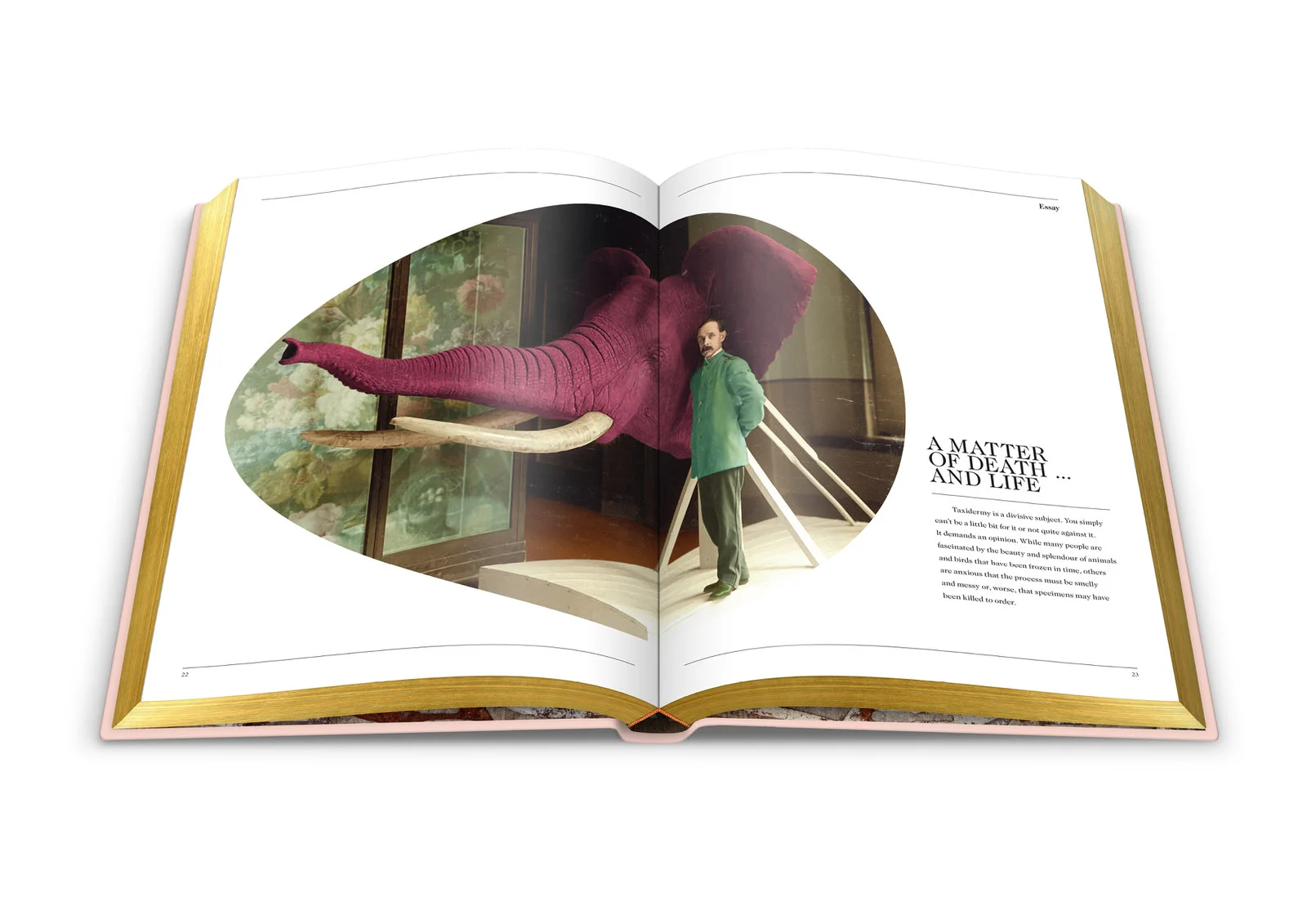 006-DSvT-Our-First-Book-Spread-Essay.jpg