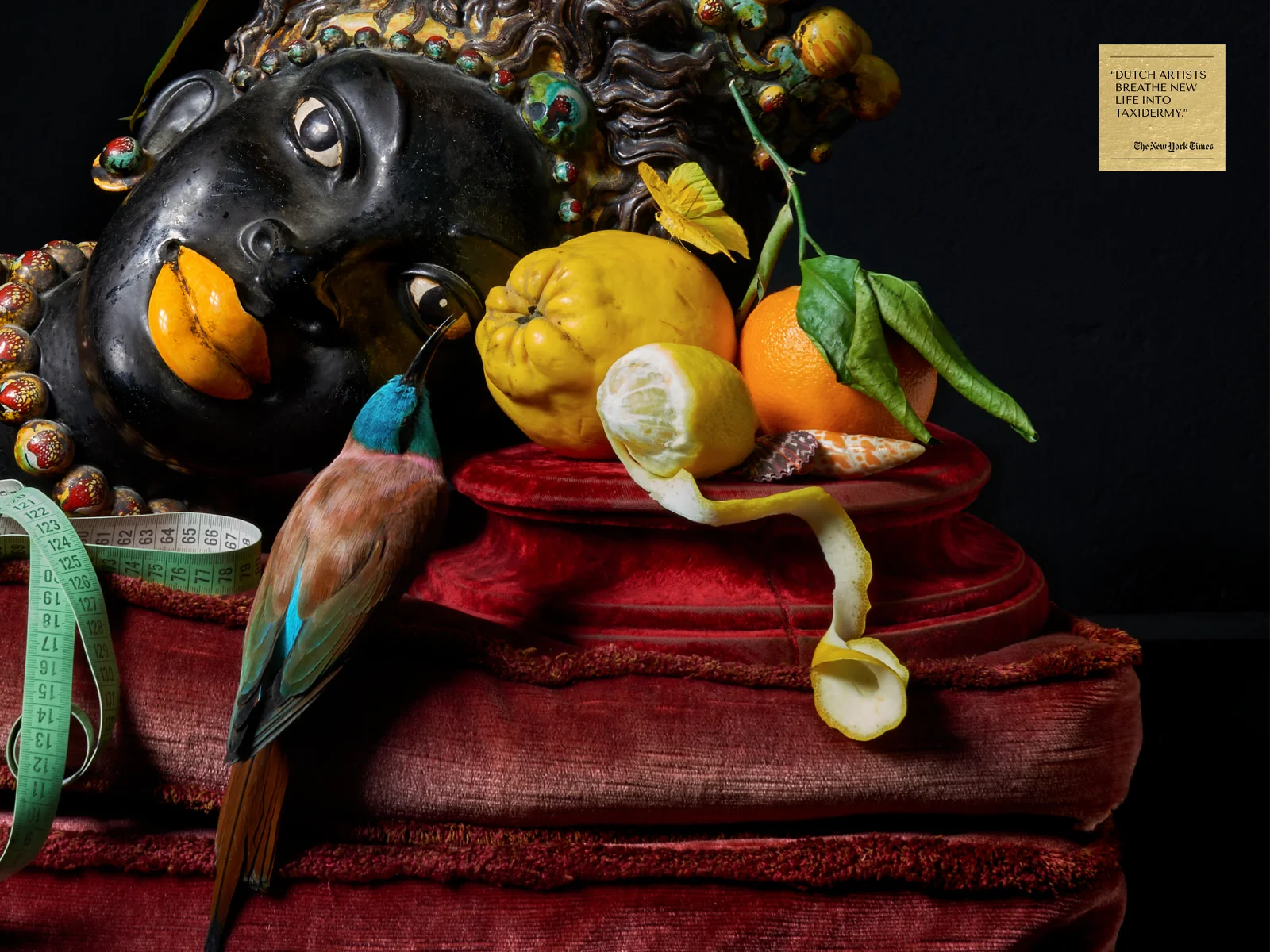 DSvT-Les-Peintures-des-Taxidermistes-1.jpg