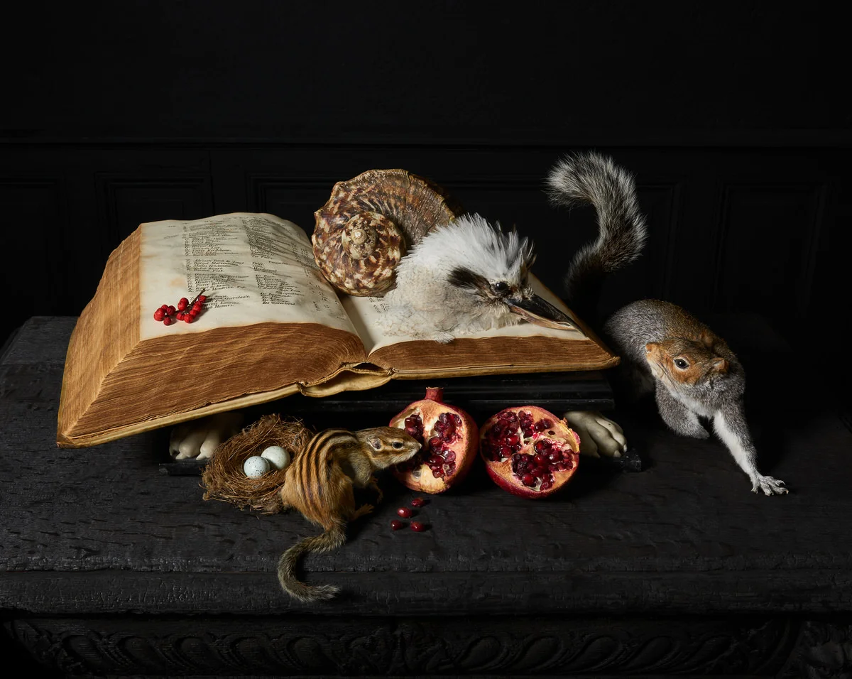 Peinture-des-Taxidermistes-Title_Être la Curiosité.jpg