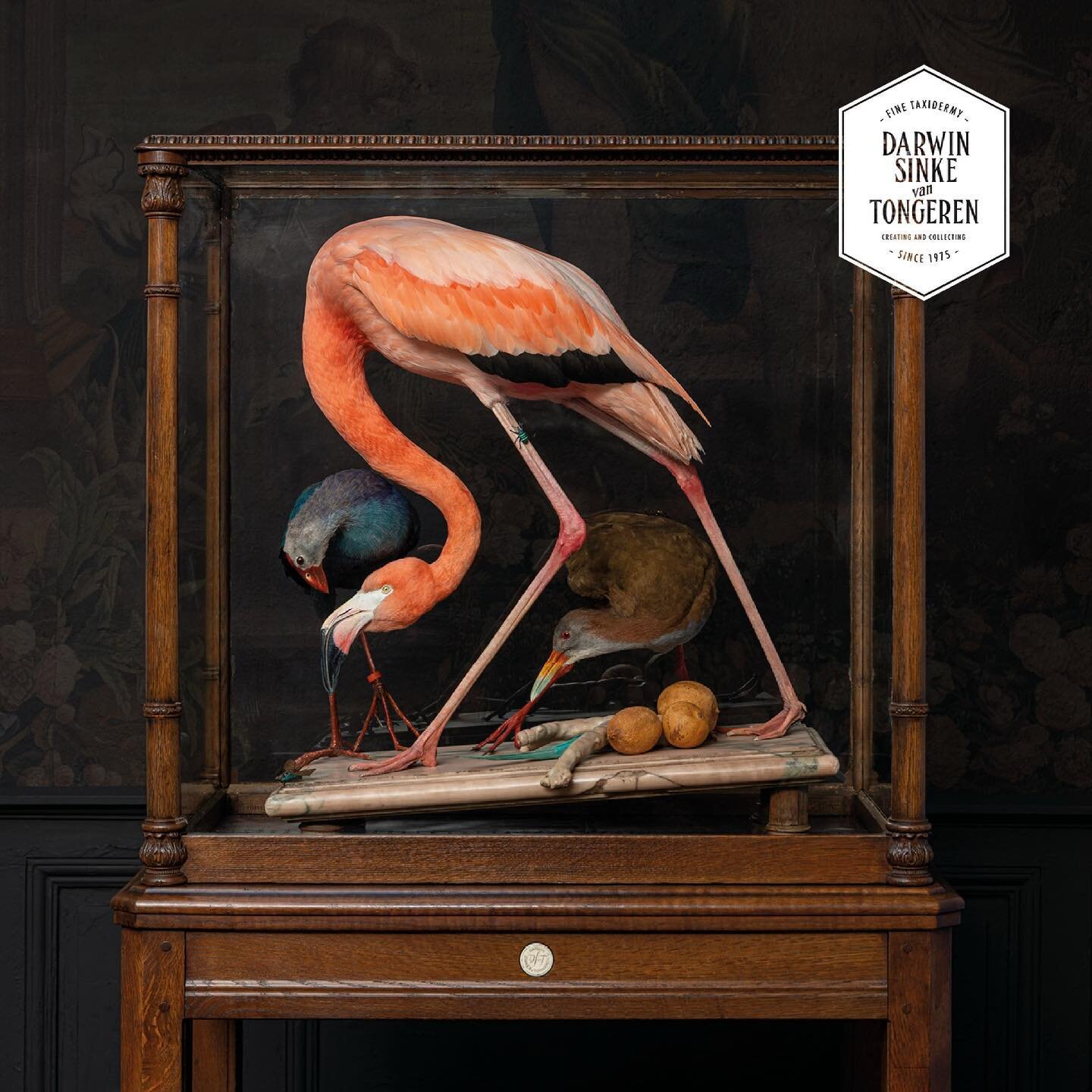 We are very proud of our contribution to the Audubon exhibition at the Teylers Museum. It is our hommage to the famous flamingo drawing by Audubon for the Birds of America book (This happens to be the most expensive book in the world!) This work is a