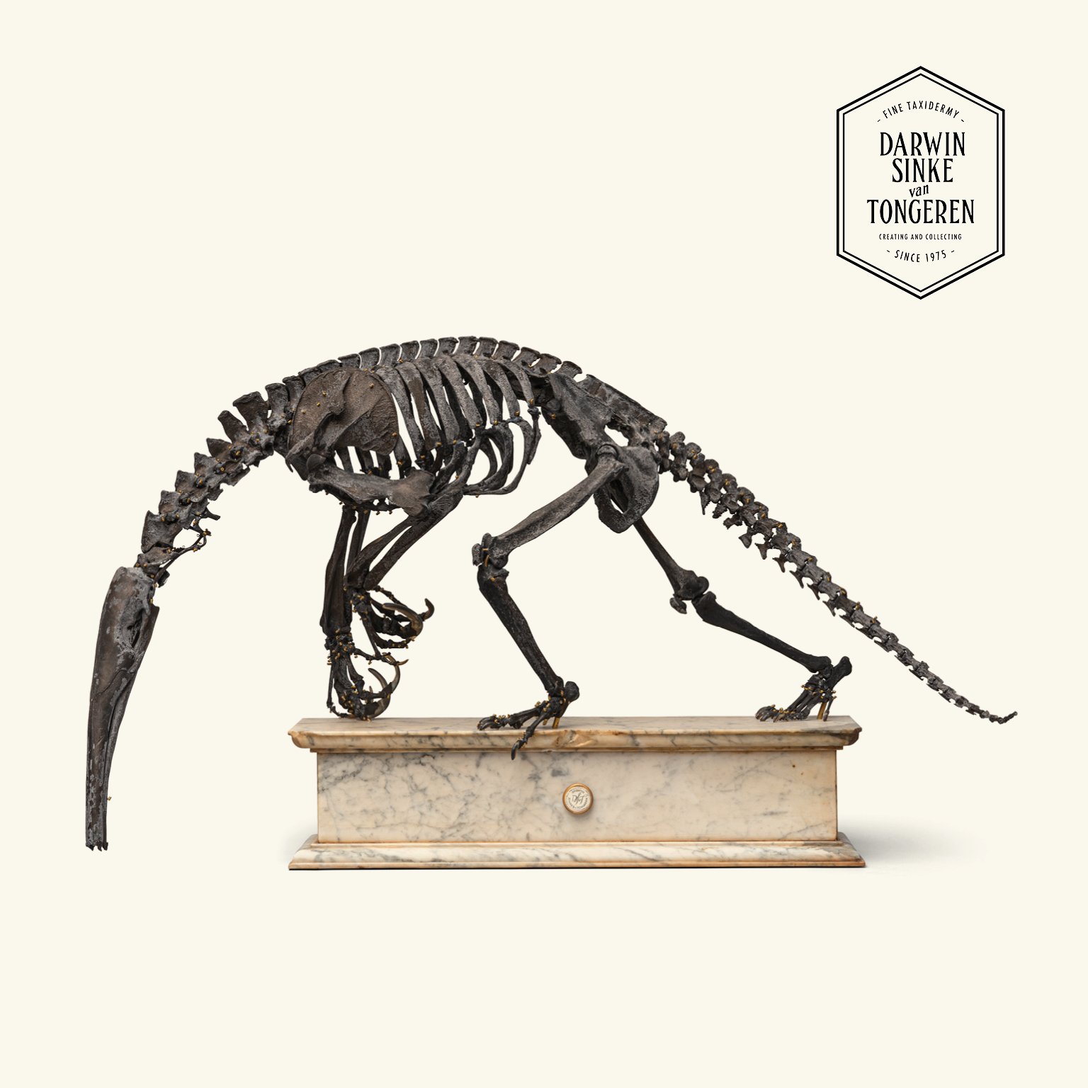 DSvT-The Remains-Anteater-900x900-16.jpg