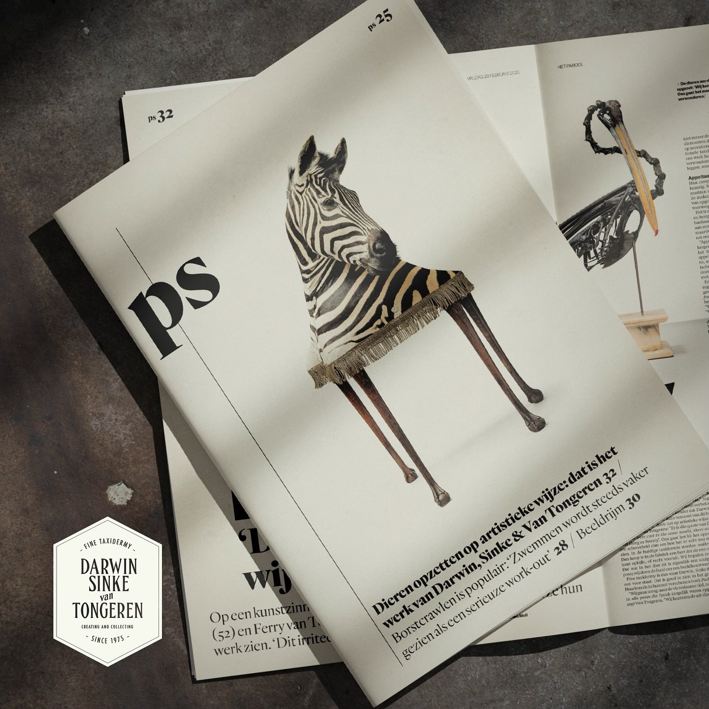 Thank you for all the press coverage this week. #telegraaf #parool #haarlemsdagblad #bionieuws #finetaxidermy