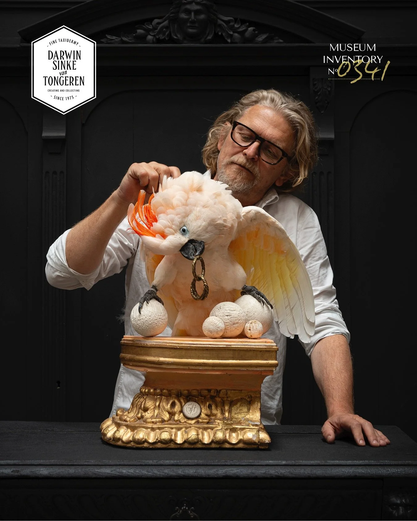 (Available) A Salmon-crested cockatoo or Moluccan Cockatoo. A big bird with an amazing palette of colours. Pink, orange and salmon. Resting on spheres made of fossolized coral on an 18th century carved and gilded base. #1stdibs #darwinsinkevantongere