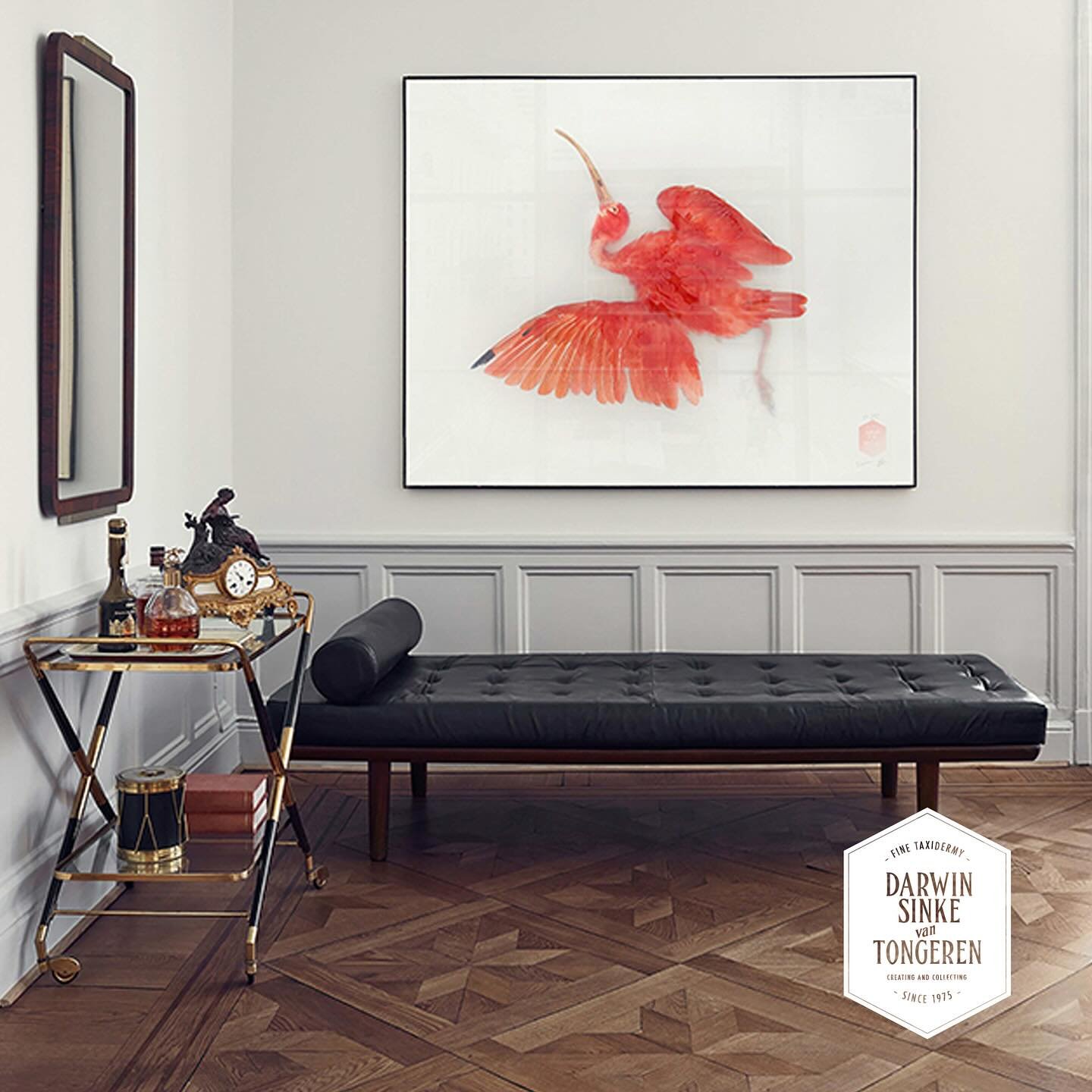 Some of the Unknown Poses are still available. Check our website for more info or DM. #unknownposes #photography #limitededition #darwinsinkeandvantongeren