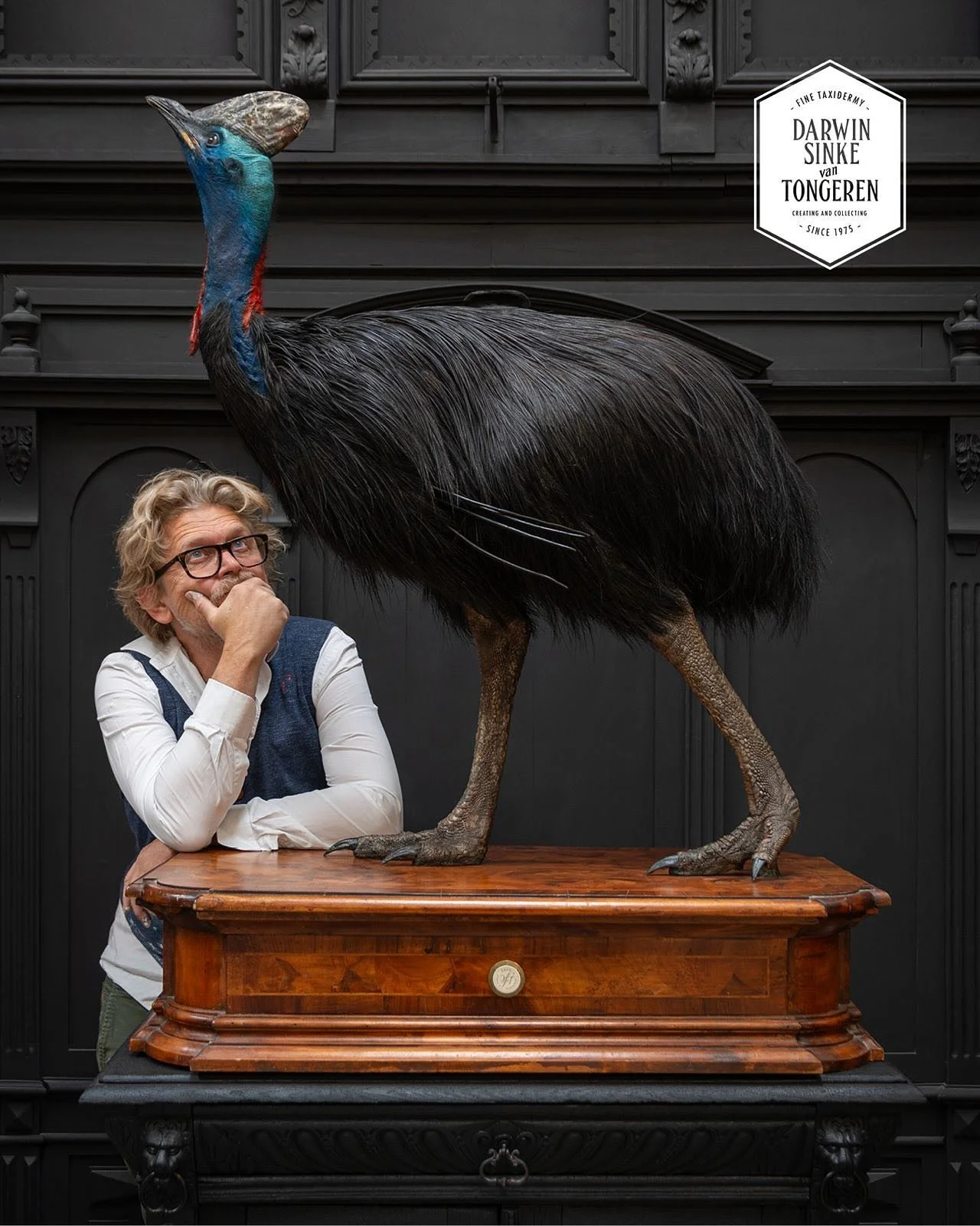 A work in progress in the &lsquo;Quoting Darwin&rsquo; series. A Southern cassowary. These flightless birds are native to Papua New Guinea and Australia. In this creation it will be accompanied by a range of cracefull Ducks. #workinprogress #darwinsi