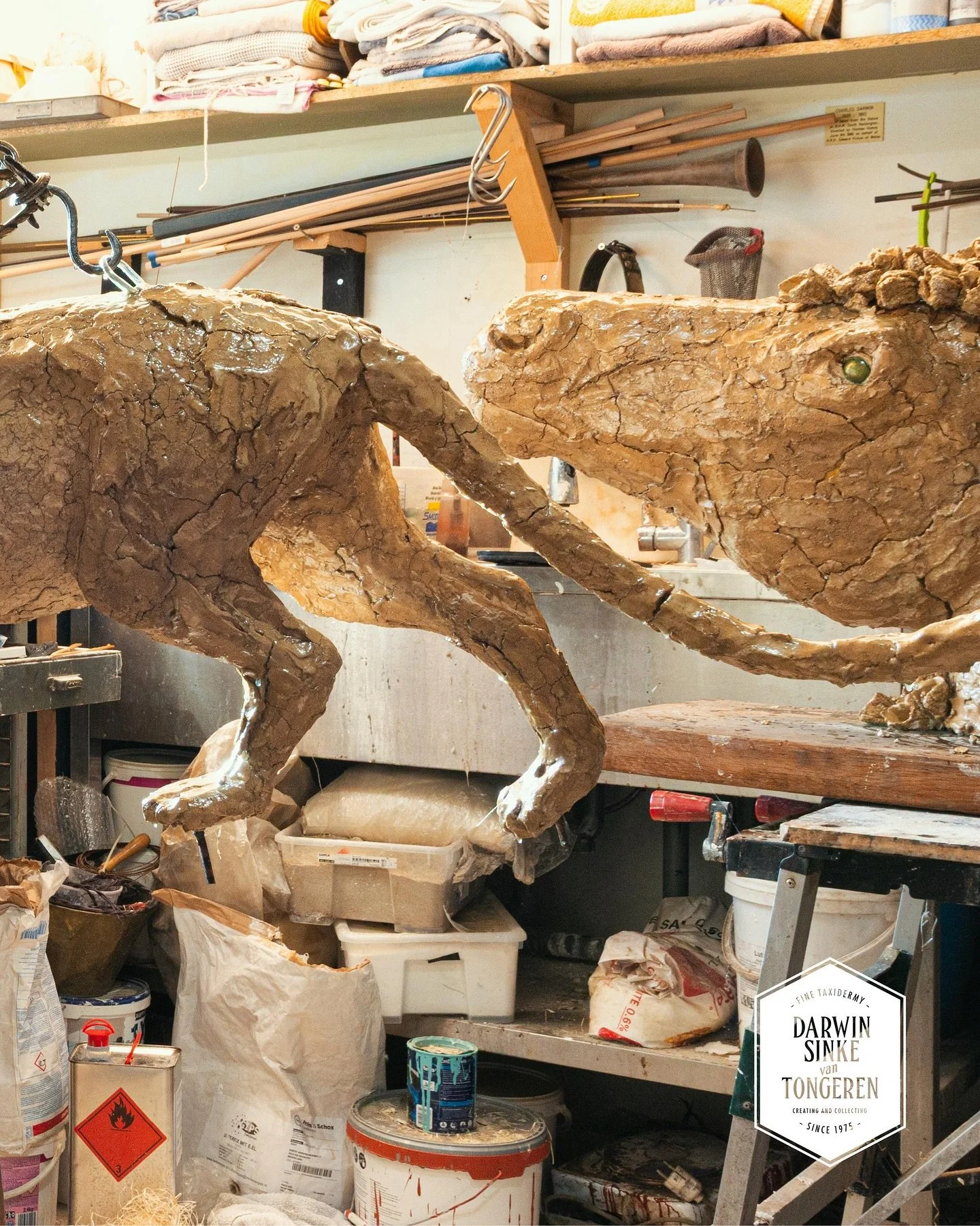 Clay models we create for some of our works. The curly horse head for the &lsquo;Inferno Equus&rsquo; work we made for the TIER expo with Armano and a jaquar that never resulted in a fine taxidermy creation. #clay #sketch #armano #infernoequus #darwi