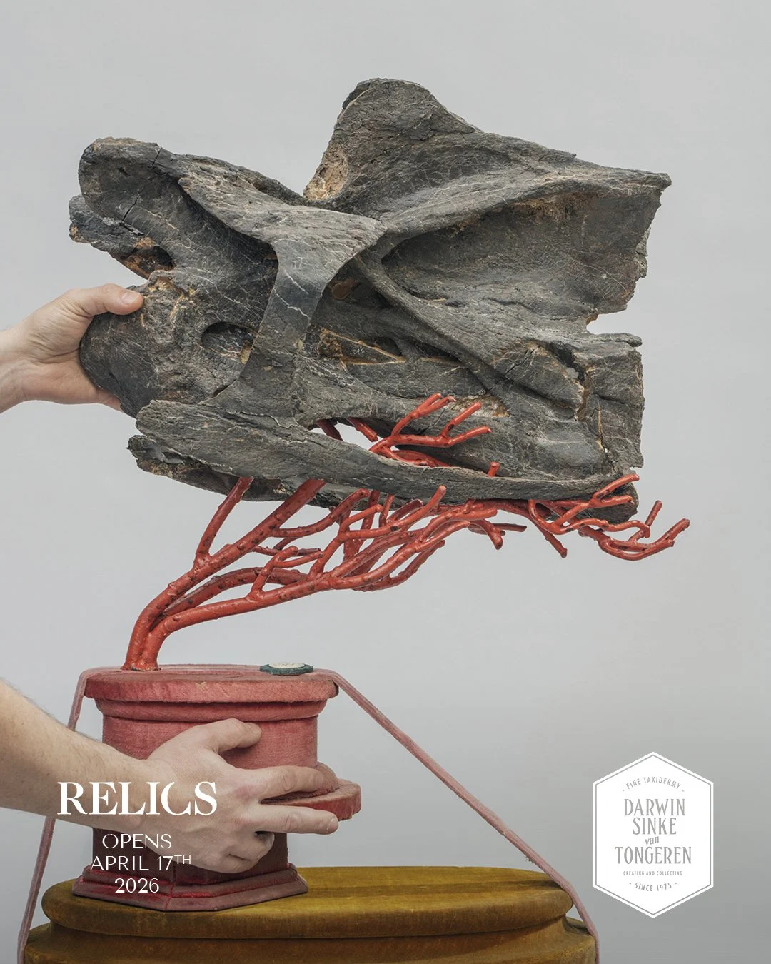 Relics Studio-5.jpg