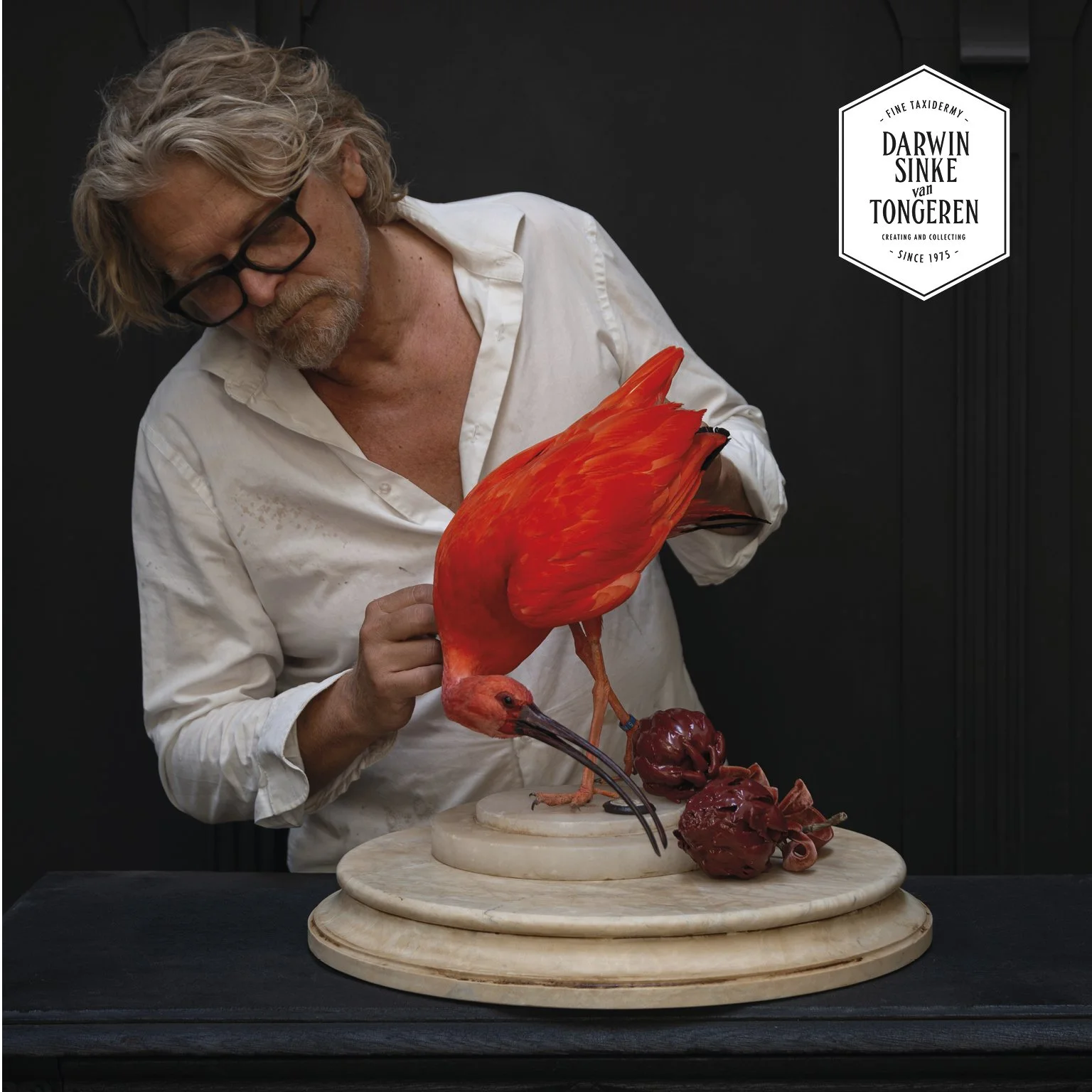 DSvT-Scarlet Ibis Artichoke-900x900-2.jpg