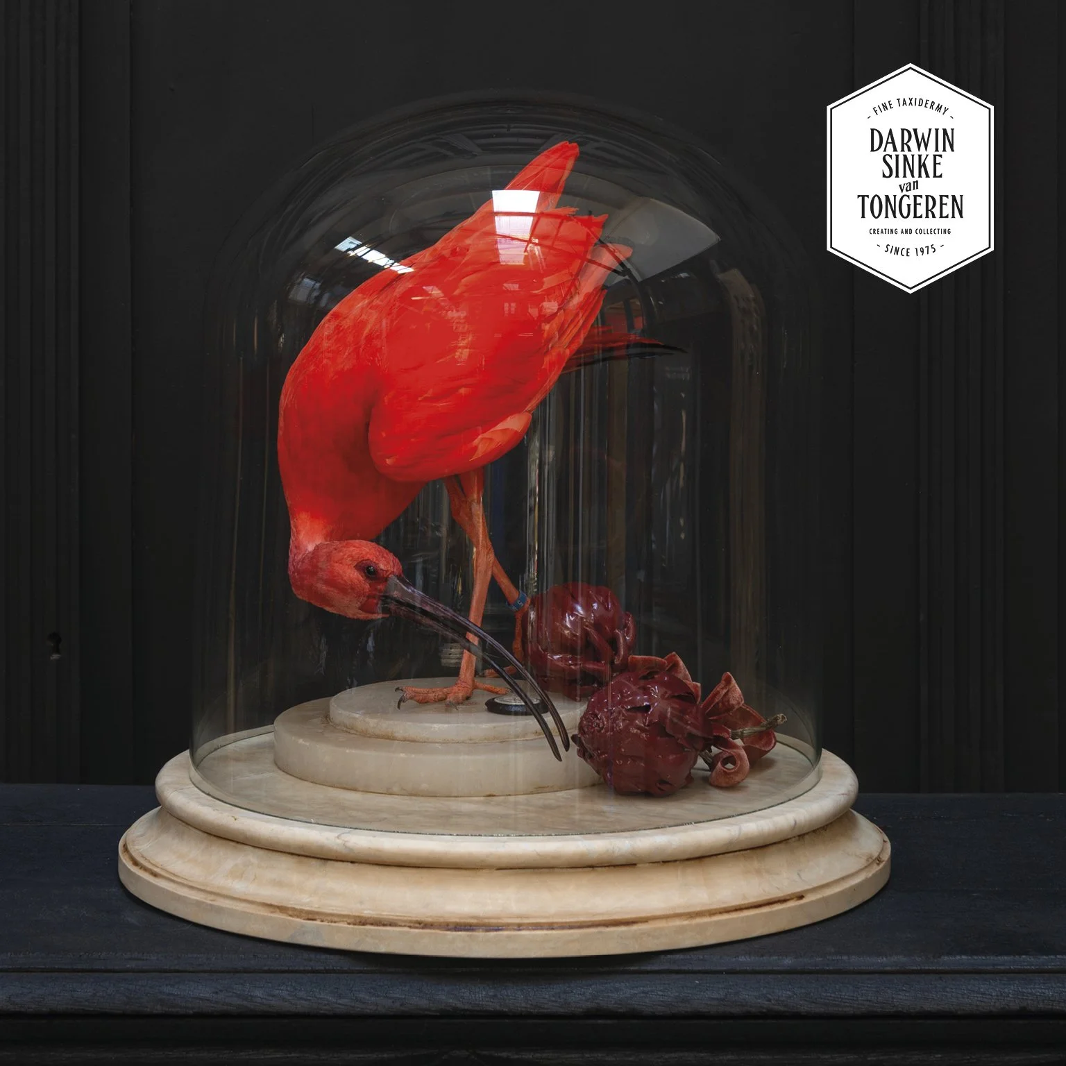 DSvT-Scarlet Ibis Artichoke-900x900-3.jpg
