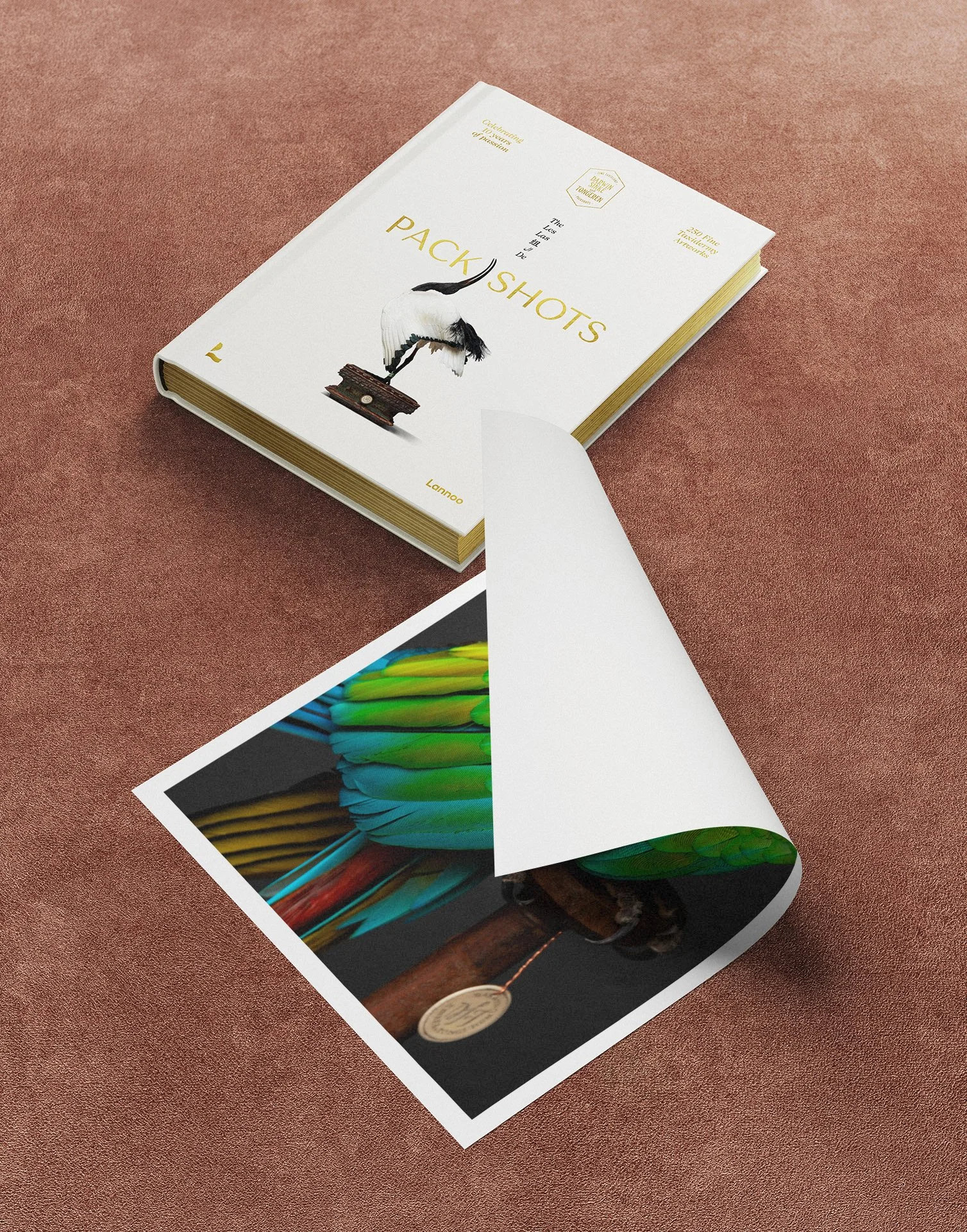 No. 162 Print&Book.jpg