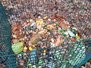 Our compost pile