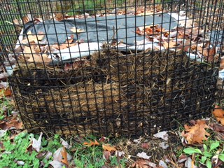 Kitchen waste layered with hay!