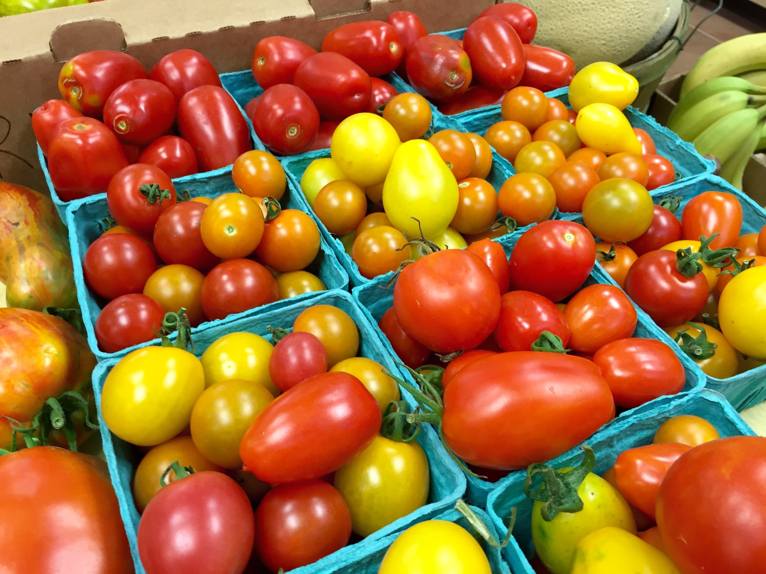 Heirloom Organic Tomatoes 