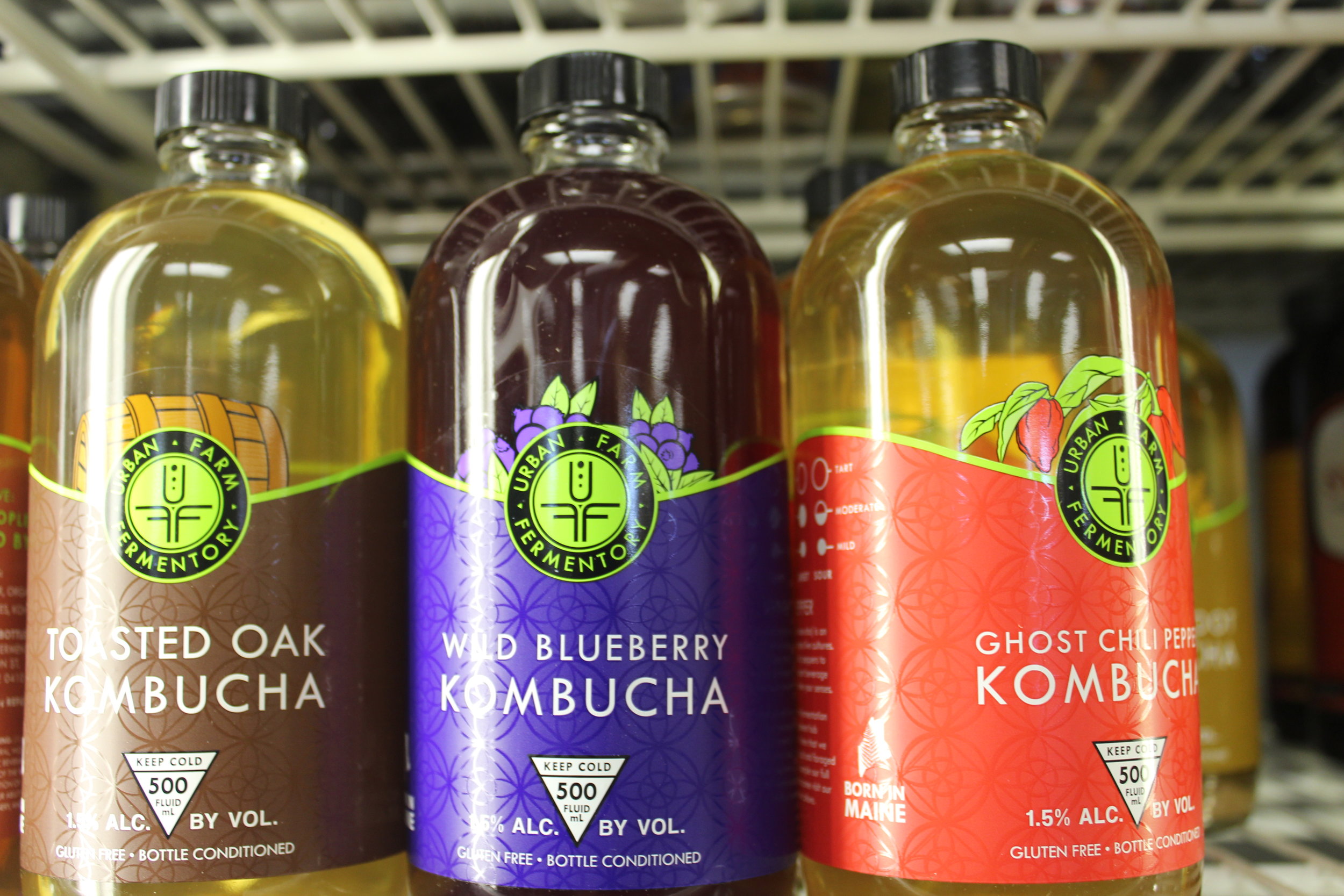 Locally Brewed Kombucha 