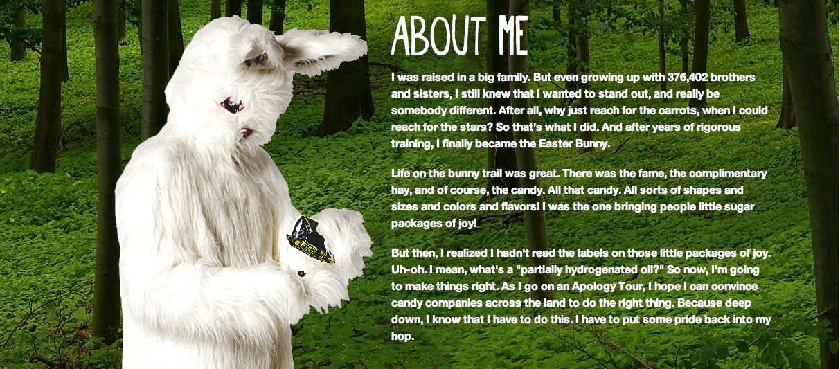 About me screen grab bunny JPEG.jpg