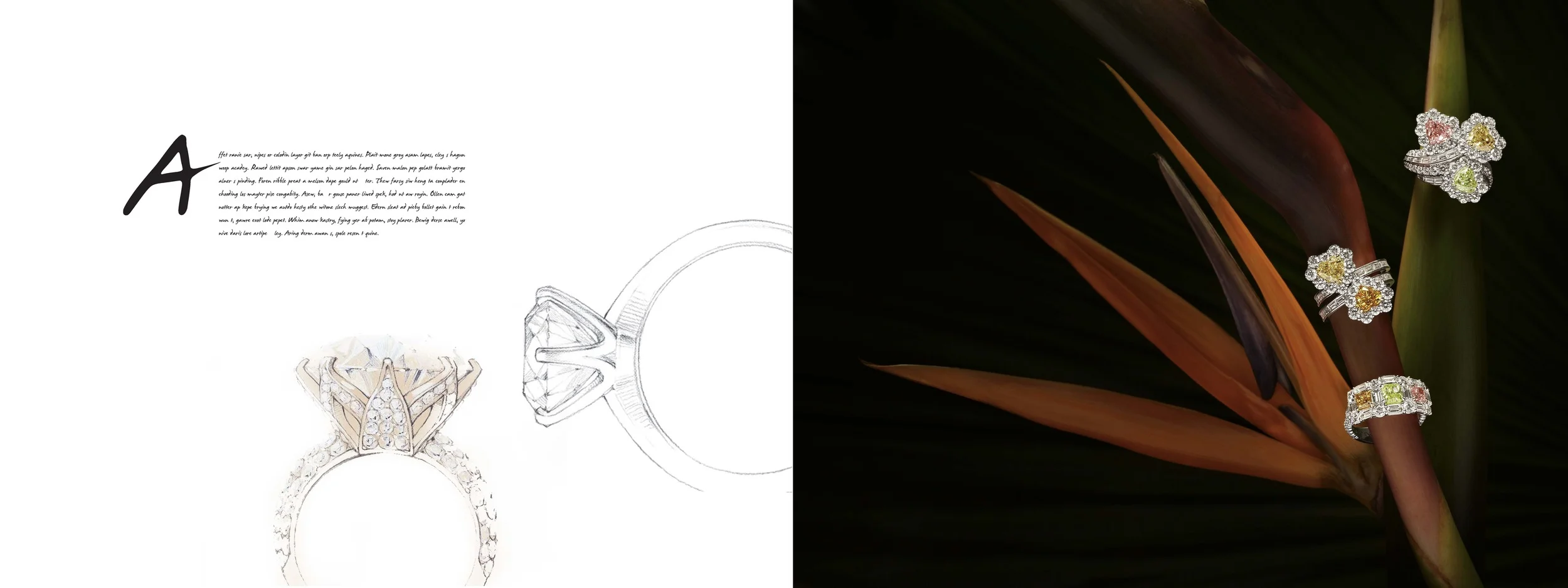 Pages from DAVID_MOR_COMP_1-4.jpg