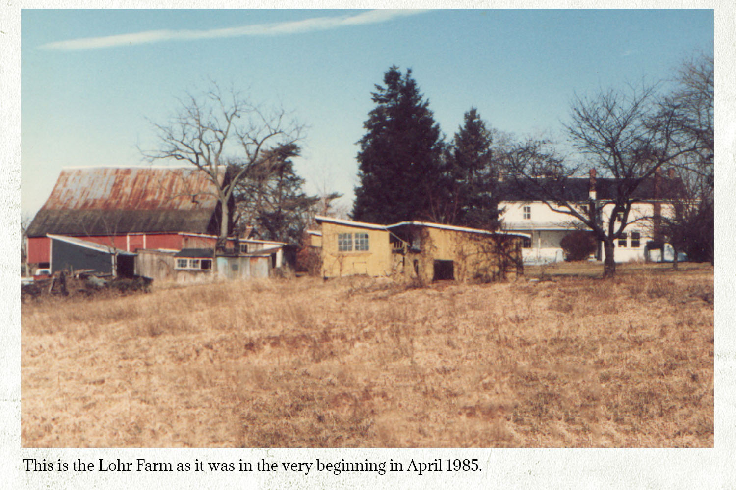 03 - 1985 Farm Beginning.jpg