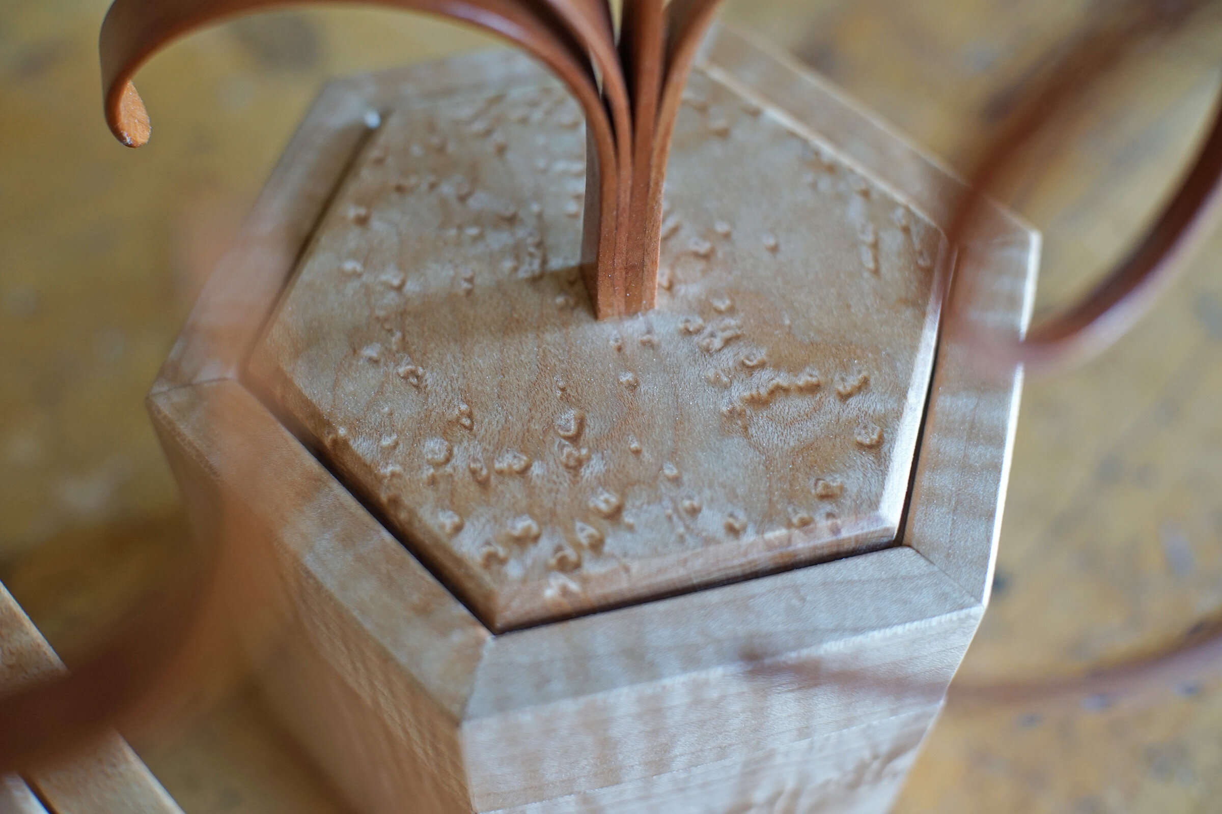 Birdseye Maple Lid