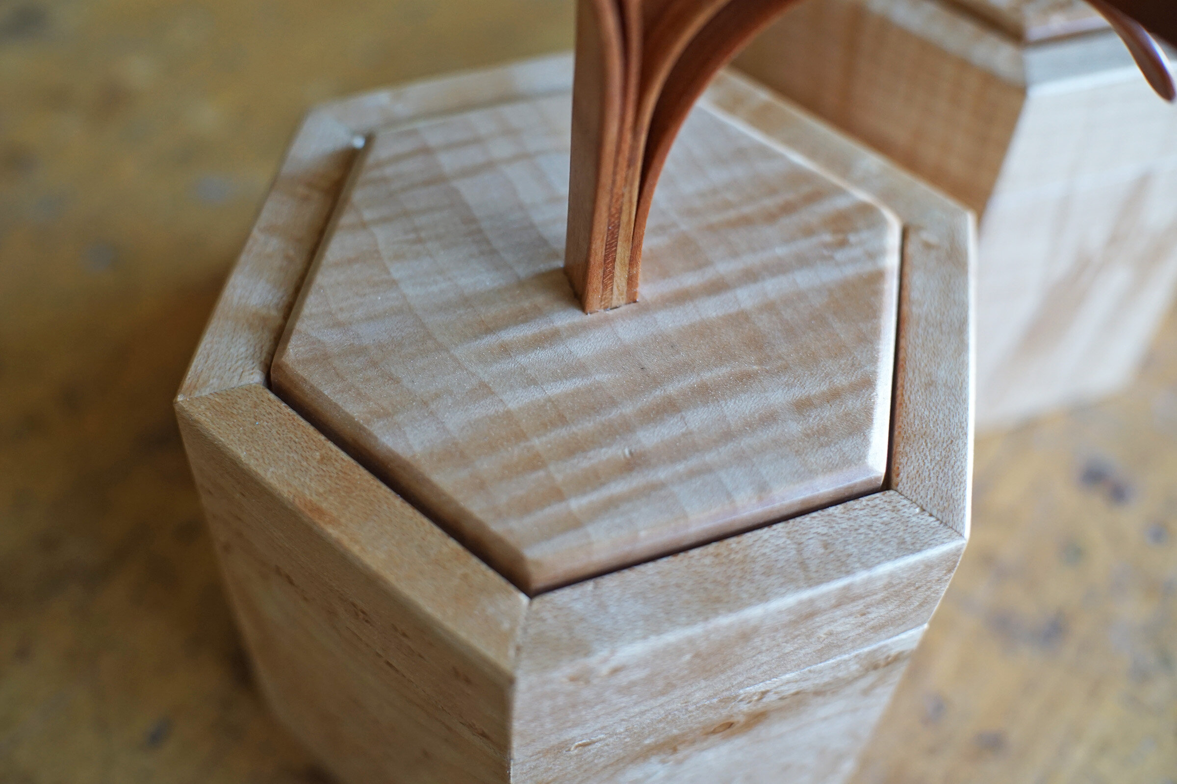 Curly Maple Lid