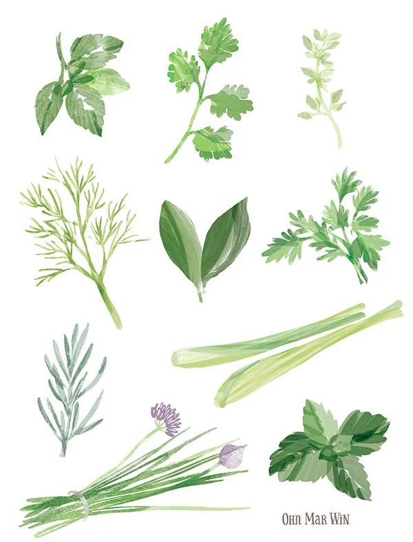 sugar HERBS.jpg