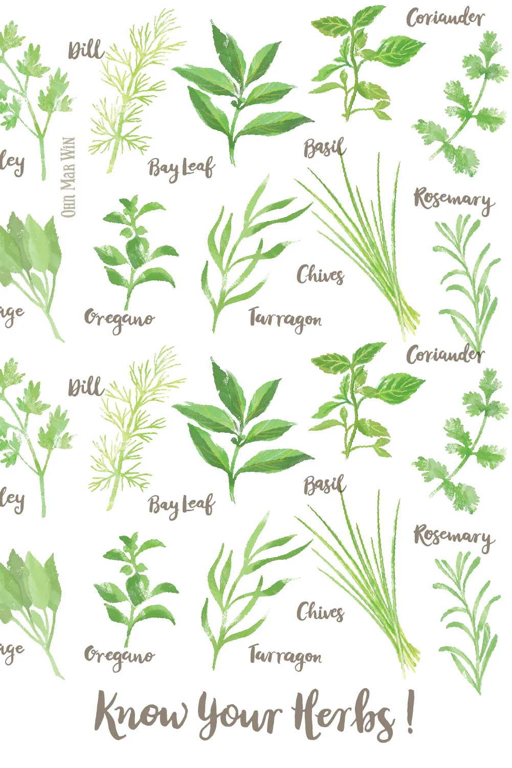 Herbs TALL PIN 2a-02.jpg