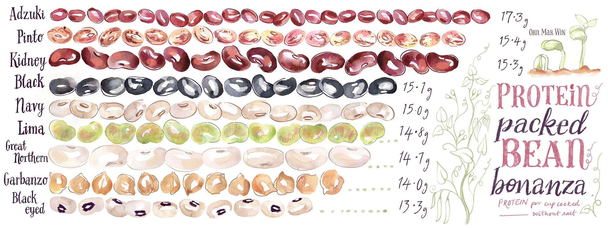 beans_layout_Pro LOW.jpg