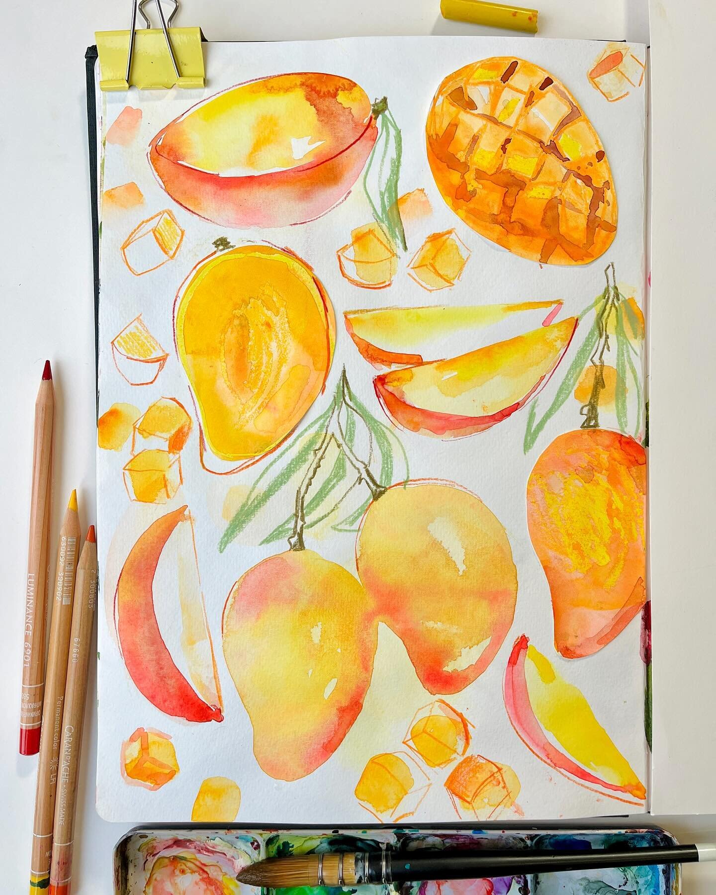 Top Tips for Masking Fluid Magic with Watercolors — Ohn Mar Win
