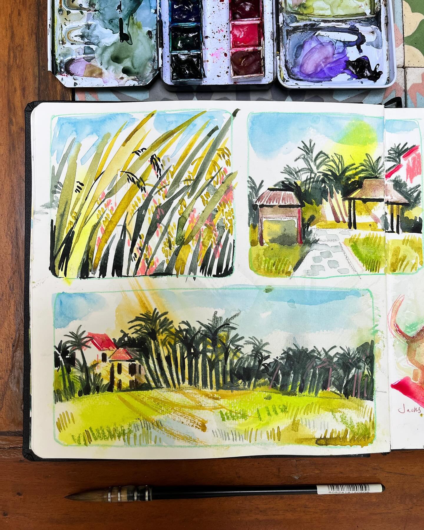 ☺️Another relaxed day in Hoi An before the @annasartfoodculture retreat starts. After breakfast I cycled to the nearby paddy fields to sketch a few panels. 🐈&zwj;⬛Later I had a lovely hour @jackscatcafe where I met Emma and her team who rehomes &amp