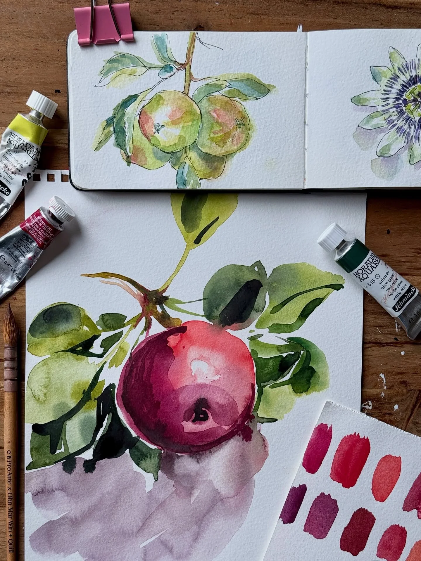 Ten years between these two apples 🍏🍎
The one above is from my tiny Moleskine sketchbook painted a decade ago (see post from last week) At that time I was still figuring out watercolours and used a fineliner - looking at it now it's nice but lacks 