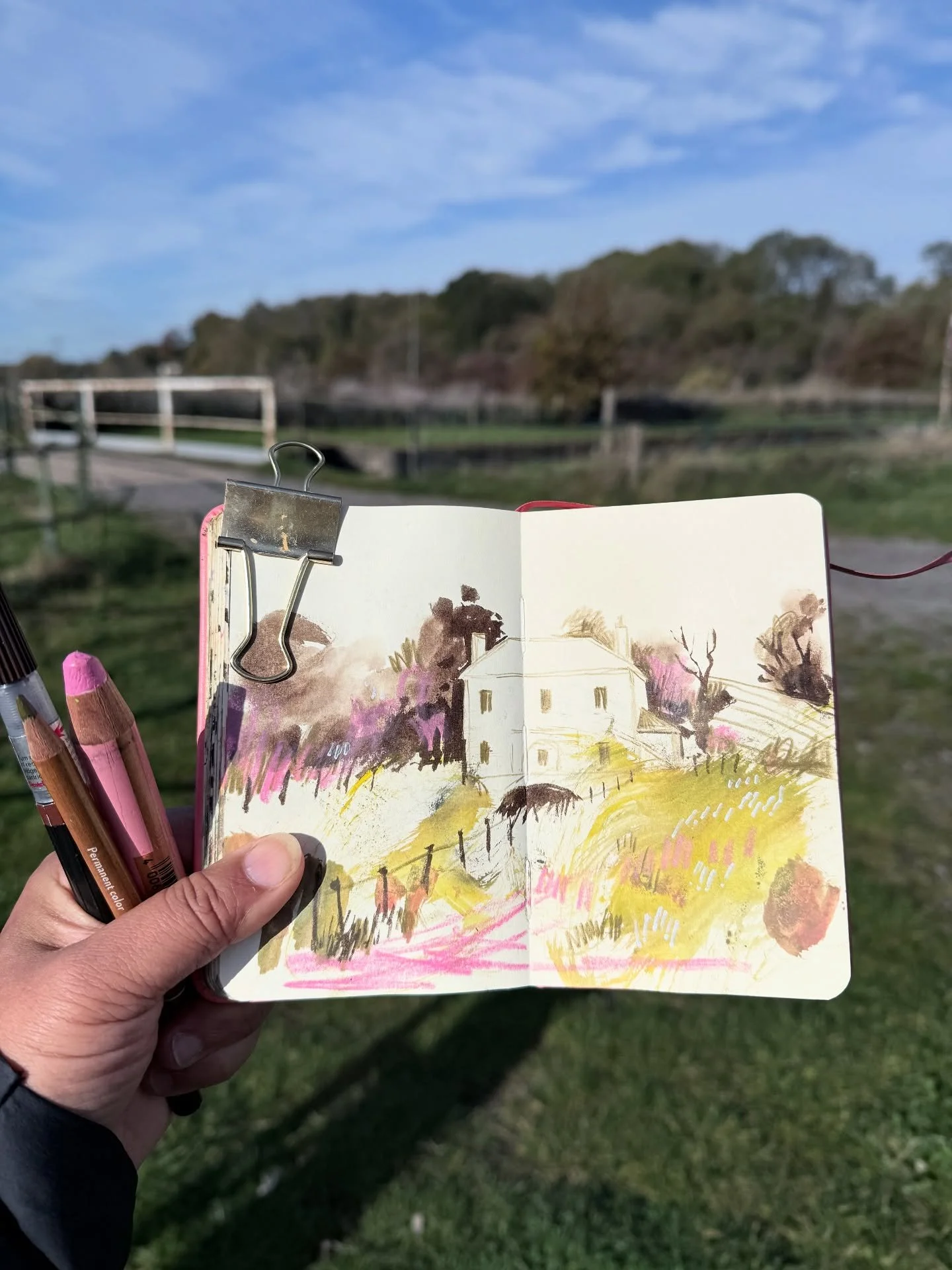 Sharing 15min sketches from my 'pocket' @royaltalens sketchbook I take with me on walks along the river from the last month. It fits inside my Uniqlo cross body bag, along with a few coloured pencils, a brush pen, sometimes a Woody crayon and Tippex 