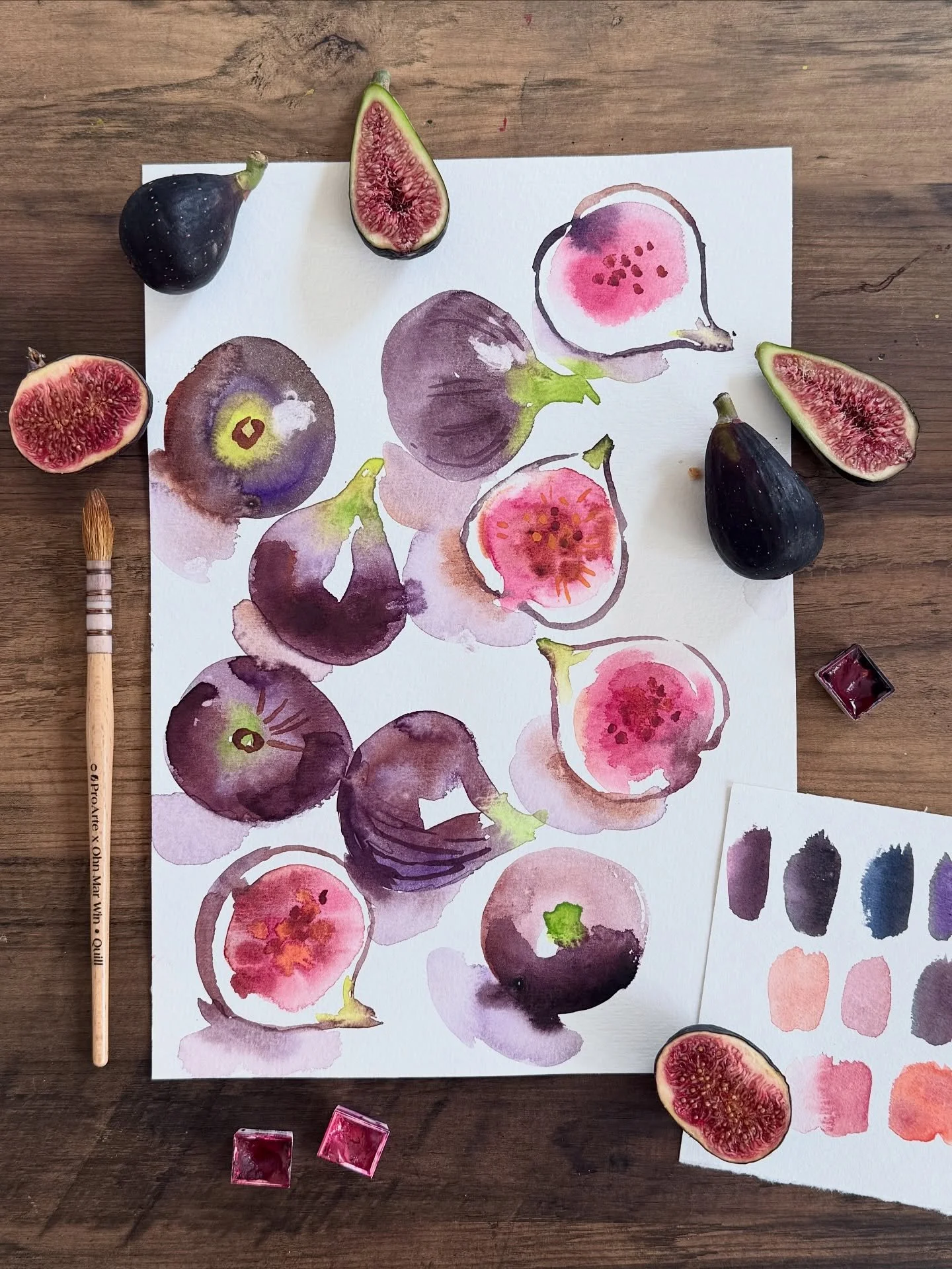 I filmed this section while painting one of the four real-time demos from my new Watercolour Made Simple: A Beginners Guide class -these figs were such a satisfying subject.

Because of their dark, velvety skin, it all comes down to getting the water