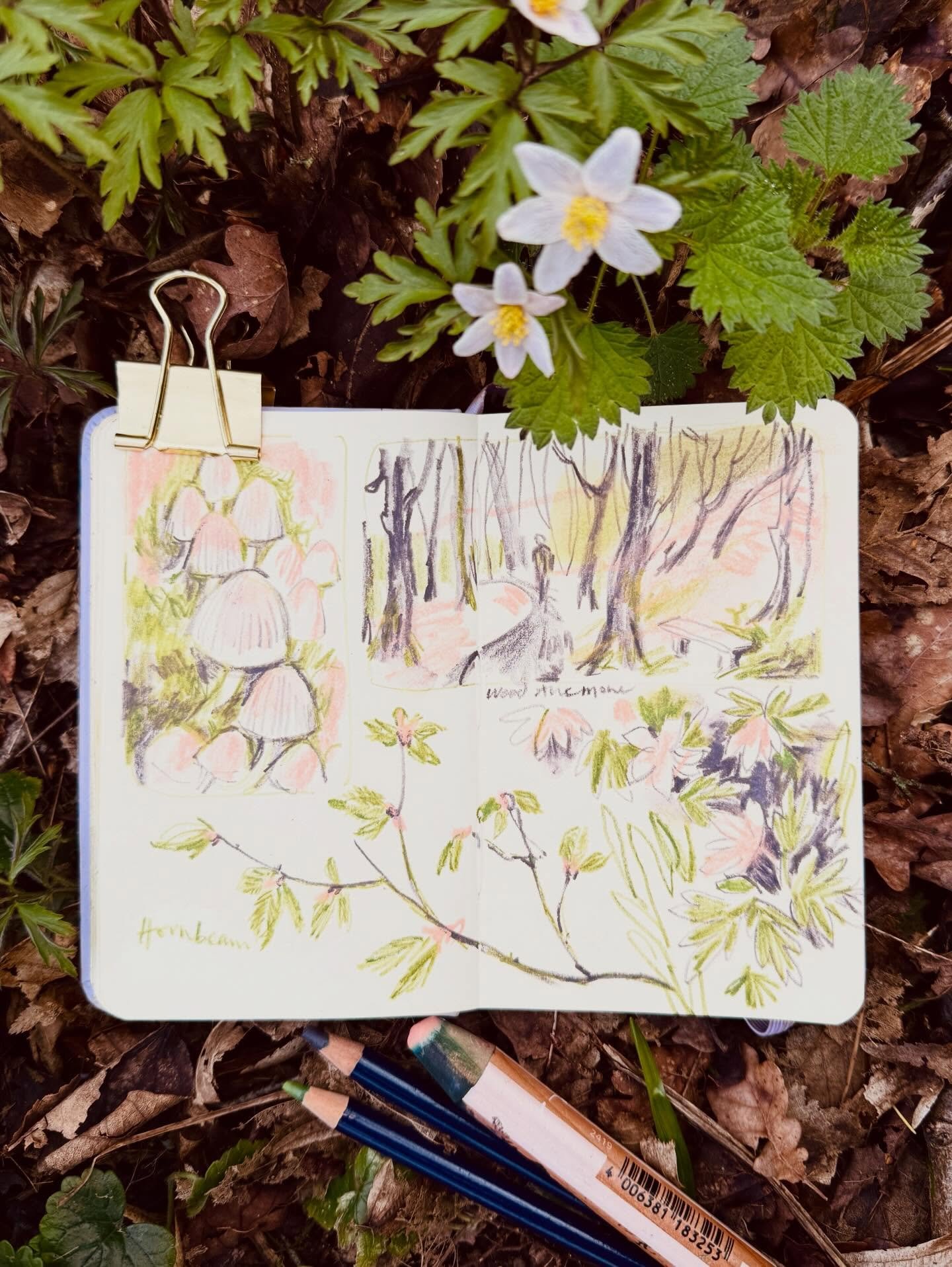 I debated whether to share this.Lately I&rsquo;ve realised I&rsquo;m moving into a different season of life and creativity. And if I&rsquo;m really honest with myself I just can&rsquo;t keep up with the same level of hustle anymore.

There are health