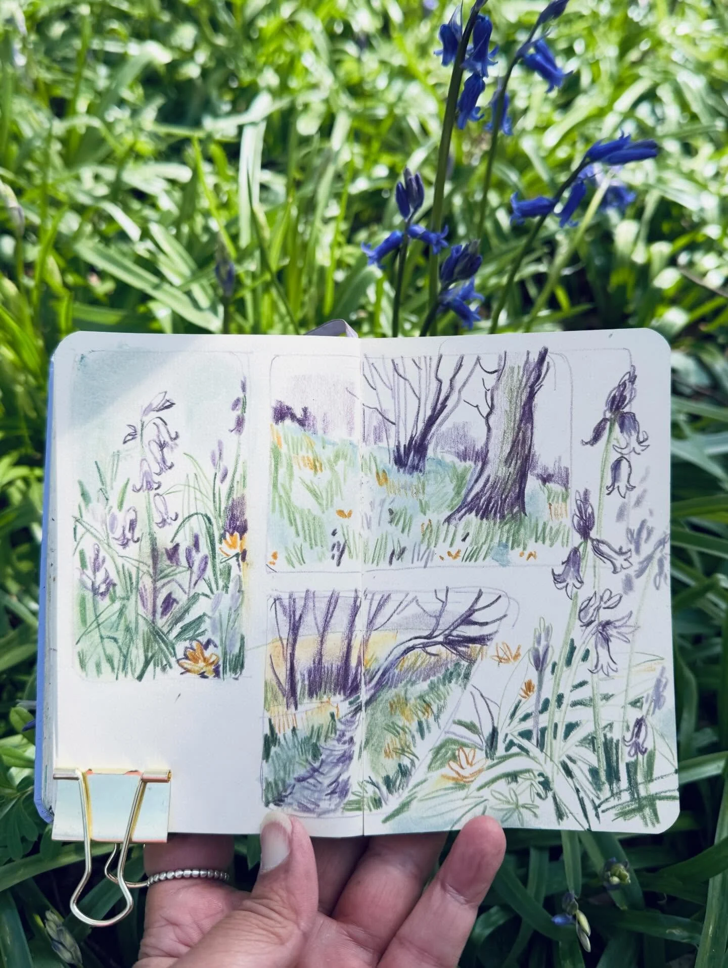 Today I found a grove of bluebells. I honestly thought it was too early, but the sun has been so warm these past few days. I sat right in the middle of them in dappled light with my sketchbook on my lap.

I wanted to share a small update. After a lot