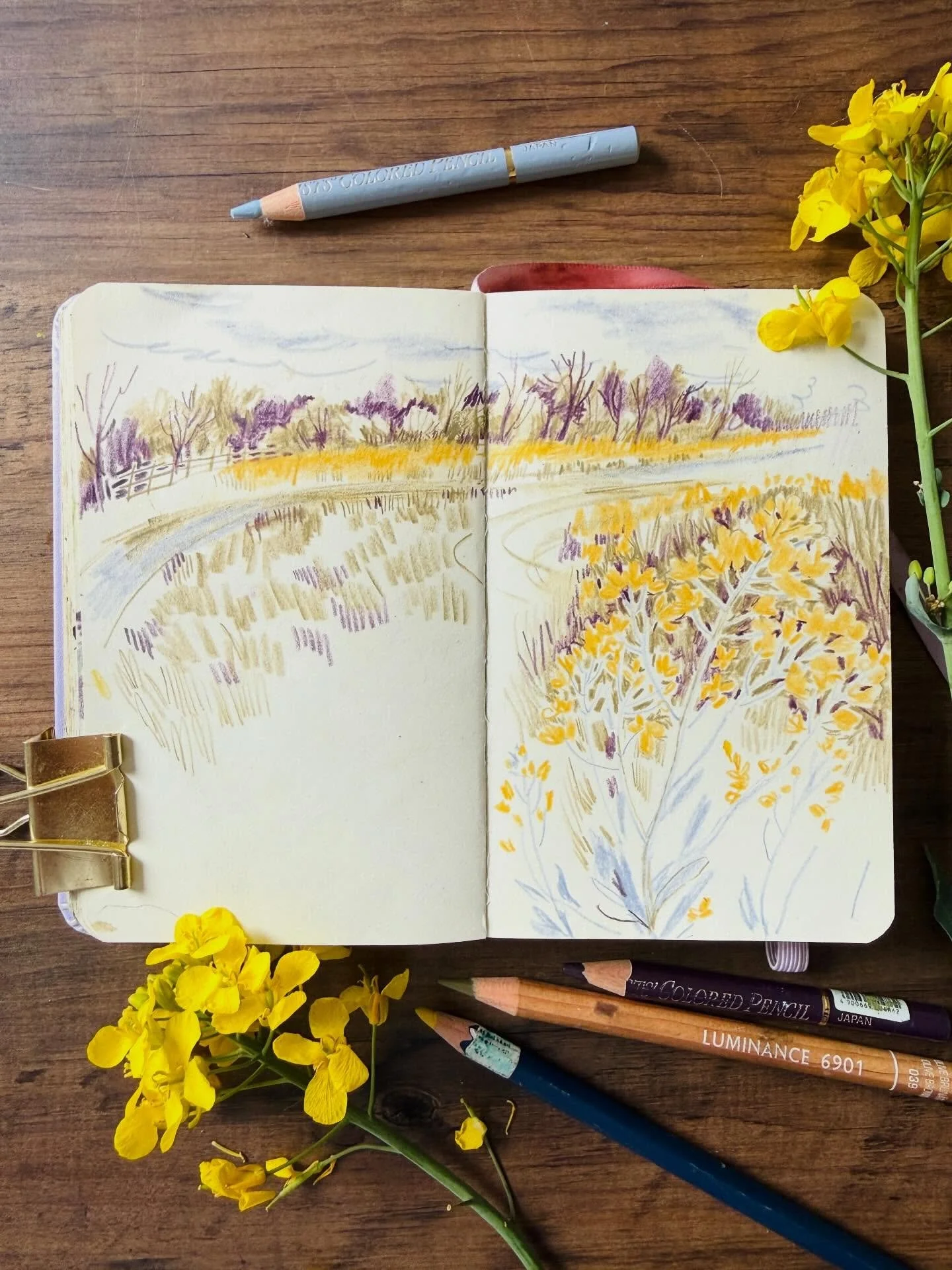 This month on Patreon, we&rsquo;re exploring nature journaling through composition, observation and learning how to fill a page from what actually caught your eye. I've shared a 18 min video with my group with my composition tips for bringing a page 